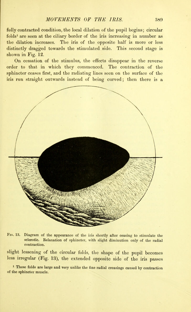 fully contracted condition, the local dilation of the pupil begins; circular folds^ are seen at the ciliary border of the iris increasing in number as tlie dilation increases. The iris of the opposite half is more or less distinctly dragged towards the stimulated side. This second stage is shown in Fig. 12. On cessation of the stimulus, the effects disappear in the reverse order to that in which they commenced. The contraction of the sphincter ceases first, and the radiating lines seen on the surface of the iris run straight outwards instead of being curved; then there is a Fio. 13. Diagram of the appearance of the iris shortly after ceasing to stimulate the sclerotic. Eelaxation of sphincter, with slight diminution only of the radial contraction. slight lessening of the circular folds, the shape of the pupil becomes less irregular (Fig. 13), the extended opposite side of the iris passes 1 These folds are large and very unlike the fine radial creasings caused by contraction of the sphincter muscle.