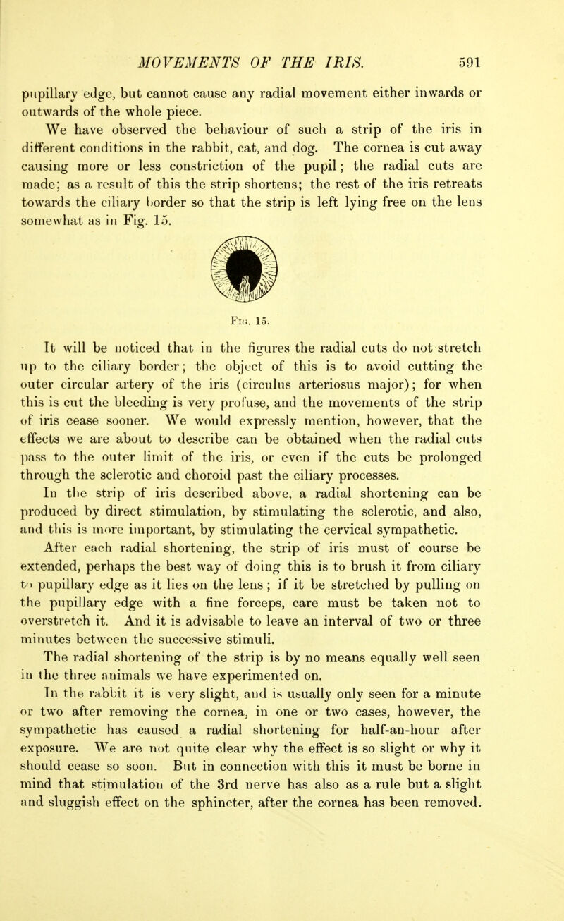 pupillary edge, but cannot cause any radial movement either inwards or outwards of the whole piece. We have observed the behaviour of such a strip of the iris in different conditions in the rabbit, cat, and dog. The cornea is cut away causing more or less constriction of the pupil; the radial cuts are made; as a result of this the strip shortens; the rest of the iris retreats towards the ciliary border so that the strip is left lying free on the lens somewhat as in Fig. 15. Fig. 15. It will be noticed that in the figures the radial cuts do not stretch up to the ciliary border; the object of this is to avoid cutting the outer circular artery of the iris (circulus arteriosus major); for when this is cut the bleeding is very profuse, and the movements of the strip of iris cease sooner. We would expressly mention, however, that the effects we are about to describe can be obtained when the radial cuts pass to the outer limit of the iris, or even if the cuts be prolonged through the sclerotic and choroid past the ciliary processes. In tiie strip of iris described above, a radial shortening can be produced by direct stimulation, by stimulating the sclerotic, and also, and this is more important, by stimulating the cervical sympathetic. After each radial shortening, the strip of iris must of course be extended, perhaps the best way of doing this is to brush it from ciliary t'> pupillary edge as it lies on the lens ; if it be stretched by pulling on the pupillary edge with a fine forceps, care must be taken not to overstretch it. And it is advisable to leave an interval of two or three minutes between the successive stimuli. The radial shortening of the strip is by no means equally well seen in the three animals we have experimented on. In the rabbit it is very slight, and is usually only seen for a minute or two after removing the cornea, in one or two cases, however, the sympathetic has caused a radial shortening for half-an-hour after exposure. We are not (juite clear why the effect is so slight or why it should cease so soon. But in connection with this it must be borne in mind that stimulation of the 3rd nerve has also as a rule but a slight and sluggish effect on the sphincter, after the cornea has been removed.