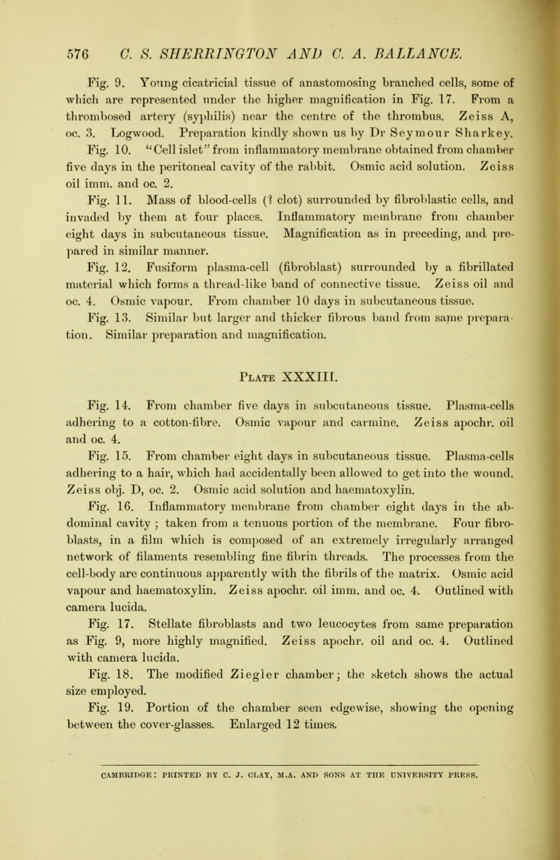 Fig. 9. YoTing cicatricial tissue of anastomosing branched cells, some of which are represented under the higher magnification in Fig. 17. From a thrombosed artery (syphilis) near the centre of the thrombus. Zeiss A, oc. 3. Logwood. Preparation kindly shown us by Dr Seymour Sharkey. Fig. 10. Cell islet from inflammatory membrane obtained from chamber five days in the peritoneal cavity of the rabbit. Osmic acid solution. Zeiss oil imm. and oc. 2. Fig. 11. Mass of blood-cells (1 clot) surrounded by fibroblastic cells, and invaded by them at four places. Inflammatory membrane from chamber eight days in subcutaneous tissue. Magnification as in preceding, and pre- pared in similar manner. Fig. 12. Fusiform plasma-cell (fibroblast) surrounded by a fibrillated material which forms a thread-like band of connective tissue. Zeiss oil and oc. 4. Osmic vapour. From chamber 10 days in subcutaneous tissue. Fig. 13. Similar but larger and thicker fibrous band from same prepara tion. Similar preparation and magnification. Plate XXXIII. Fig. 14. From chamber five days in subcutaneous tissue. Plasma-cells adhering to a cotton-fibre. Osmic vapour and carmine. Zeiss apochr. oil and 00. 4. Fig. 15. From chamber eight days in subcutaneous tissue. Plasma-cells adhering to a hair, which had accidentally been allowed to get into the wound. Zeiss obj. D, oc. 2. Osmic acid solution and haematoxylin. Fig. 16. Inflammatory membrane from chamber eight days in the ab- dominal cavity ; taken from a tenuous portion of the membrane. Four fibro- blasts, in a film which is composed of an extremely irregularly arranged network of filaments resembling fine fibrin threads. The processes from the cell-body are continuous aj)parently with the fibrils of the matrix. Osmic acid vapour and haematoxylin. Zeiss apochr. oil imm. and oc. 4. Outlined with camera lucida. Fig. 17. Stellate fibroblasts and two leucocytes from same preparation as Fig. 9, more highly magnified. Zeiss apochr. oil and oc. 4. Outlined with camera lucida. Fig. 18, The modified Ziegler chamber; the sketch shows the actual size employed. Fig. 19. Portion of the chamber seen edgewise, showing the opening between the cover-glasses. Enlarged 12 times. CAMBRIDGE : PRINTED BY C. J. CLAY, M.A. AND SONS AT THE UNIVERSITY PRESS.