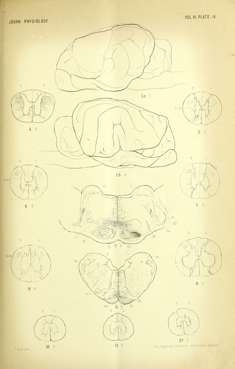 VOL.VI. PLATE. IV JOURN. PHYSIOLOGY. ^ in f 1^ ^ -THt CAMBRIDGE SCIENTIFIC INSTRUMENT COMP.KV CS.S.dsl.