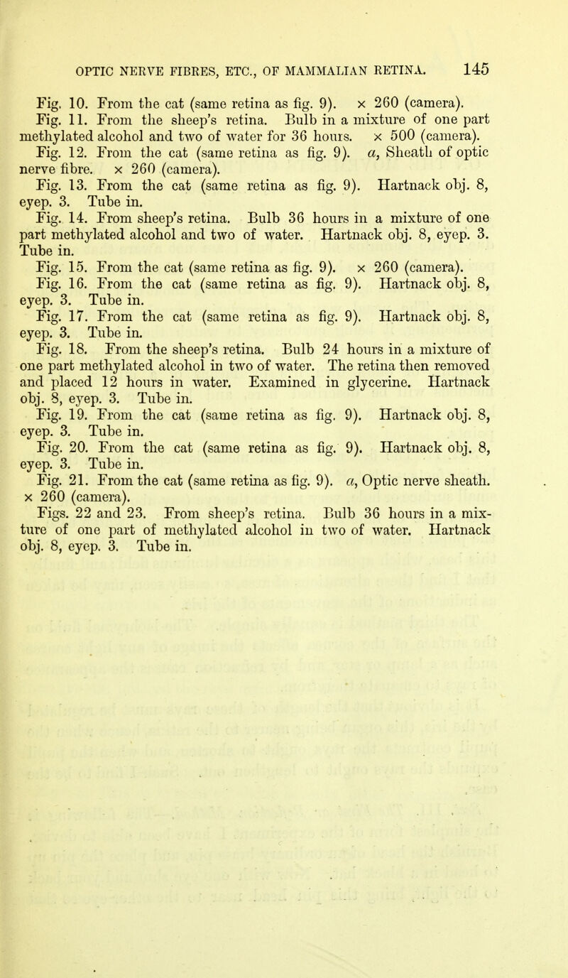 Fig. 10. From the cat (same retina as fig. 9). x 260 (camera). Fig. 11. From the sheep's retina. Bulb in a mixture of one part methylated alcohol and two of water for 36 hours. x 500 (camera). Fig. 12. From the cat (same retina as fig. 9). a, Sheath of optic nerve fibre. x 260 (camera). Fig. 13. From the cat (same retina as fig. 9). Hartnack obj. 8, ejep. 3. Tube in. Fig. 14. From sheep's retina. Bulb 36 hours in a mixture of one part methylated alcohol and two of water. Hartnack obj. 8, eyep. 3. Tube in. Fig. 15. From the cat (same retina as fig. 9). x 260 (camera). Fig. 16. From the cat (same retina as fig. 9). Hartnack obj. 8, eyep. 3. Tube in. Fig. 17. From the cat (same retina as fig. 9). Hartnack obj. 8, eyep. 3. Tube in. Fig. 18. From the sheep's retina. Bulb 24 hours in a mixture of one part methylated alcohol in two of water. The retina then removed and placed 12 hours in water. Examined in glycerine. Hartnack obj. 8, eyep. 3. Tube in. Fig. 19. From the cat (same retina as fig. 9). Hartnack obj. 8, eyep. 3. Tube in. Fig. 20. From the cat (same retina as fig. 9). Hartnack obj. 8, eyep. 3. Tube in. Fig. 21. From the cat (same retina as fig. 9). a, Optic nerve sheath, x 260 (camera). Figs. 22 and 23. From sheep's retina. Bulb 36 hours in a mix- ture of one part of methylated alcohol in two of water. Hartnack obj. 8, eyep. 3. Tube in.