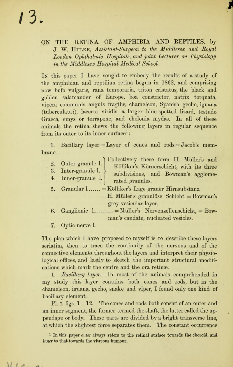 ON THE RETINA OF AMPHIBIA AND REPTILES, by J. W. Hulke, Assistant-Surgeon to the Middlesex and Royal London Ophthalmic Hospitals, and joint Lecturer on Physiology in the Middlesex Hospital Medical School In this paper I have sought to embody the results of a study of the amphibian and reptilian retina begun in 1862, and comprising now bufo vulgaris, rana temporaria, triton cristatus, the black and golden salamander of Europe, boa constrictor, natrix torquata, vipera communis, anguis fragilis, chameleon, Spanish gecho, iguana (tuberculata?), lacerta viridis, a larger blue-spotted lizard, testudo Graeca, emys or terrapene, and chelonia mydas. In all of these animals the retina shews the following layers in regular sequence from its outer to its inner surface1: 1. Bacillary layer = Layer of cones and rods = Jacob's mem- brane. j j  Collectively these form H. Muller's and 2. uter-granu e . Kolliker's Kornerschicht, with its three 3. Inter-granule L > . • , ^ , , b , _ subdivisions, and Bowman s agglome- 4. Inner-granule I. J rated 5. Granular 1 = Kolliker's Lage grauer Hirnsubstanz. = H. Muller's granulose Schicht, = Bowman's grey vesicular layer. 6. Ganglionic 1 = Muller's Nervenzellenschicht, = Bow- man's caudate, nucleated vesicles. 7. Optic nerve 1. The plan which I have proposed to myself is to describe these layers seriatim, then to trace the continuity of the nervous and of the connective elements throughout the layers and interpret their physio- logical offices, and lastly to sketch the important structural modifi- cations which mark the centre and the ora retinae. 1. Bacillary layer.—In most of the animals comprehended in my study this layer contains both cones and rods, but in the chameleon, iguana, gecho, snake and viper, I found only one kind of bacillary element. PI. I. figs. 1—12. The cones and rods both consist of an outer and an inner segment, the former termed the shaft, the latter called the ap- pendage or body. These parts are divided by a bright transverse line, at which the slightest force separates them. The constant occurrence 1 In this paper outer always refers to the retinal surface towards the choroid, and inner to that towards the vitreous humour.