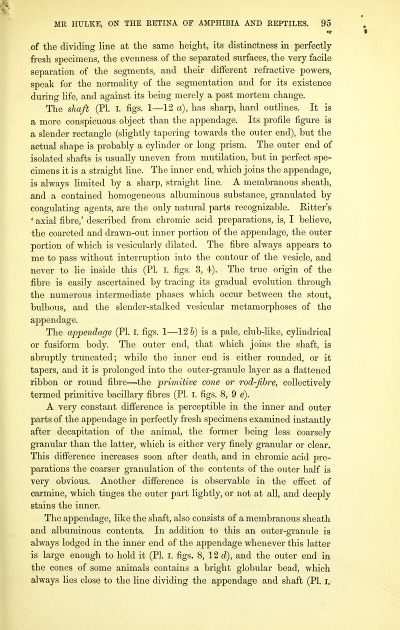 •r » of the dividing line at the same height, its distinctness in perfectly fresh specimens, the evenness of the separated surfaces, the very facile separation of the segments, and their different refractive powers, speak for the normality of the segmentation and for its existence during life, and against its being merely a post mortem change. The shaft (PI. I. figs. 1—12 a), has sharp, hard outlines. It is a more conspicuous object than the appendage. Its profile figure is a slender rectangle (slightly tapering towards the outer end), but the actual shape is probably a cylinder or long prism. The outer end of isolated shafts is usually uneven from mutilation, but in perfect spe- cimens it is a straight line. The inner end, which joins the appendage, is always limited by a sharp, straight line. A membranous sheath, and a contained homogeneous albuminous substance, granulated by coagulating agents, are the only natural parts recognizable. Bitter's ' axial fibre/ described from chromic acid preparations, is, I believe, the coarcted and drawn-out inner portion of the appendage, the outer portion of which is vesicularly dilated. The fibre always appears to me to pass without interruption into the contour of the vesicle, and never to lie inside this (PL I. figs. 3, 4). The true origin of the fibre is easily ascertained by tracing its gradual evolution through the numerous intermediate phases which occur between the stout, bulbous, and the slender-stalked vesicular metamorphoses of the appendage. The appendage (PI. I. figs. 1—12 6) is a pale, club-like, cylindrical or fusiform body. The outer end, that which joins the shaft, is abruptly truncated; while the inner end is either rounded, or it tapers, and it is prolonged into the outer-granule layer as a flattened ribbon or round fibre—the primitive cone or rod-fibre, collectively termed primitive bacillary fibres (PL I. figs. 8, 9 e). A very constant difference is perceptible in the inner and outer parts of the appendage in perfectly fresh specimens examined instantly after decapitation of the animal, the former being less coarsely granular than the latter, which is either very finely granular or clear. This difference increases soon after death, and in chromic acid pre- parations the coarser granulation of the contents of the outer half is very obvious. Another difference is observable in the effect of carmine, which tinges the outer part lightly, or not at all, and deeply stains the inner. The appendage, like the shaft, also consists of a membranous sheath and albuminous contents. In addition to this an outer-granule is always lodged in the inner end of the appendage whenever this latter is large enough to hold it (PL I. figs. 8, 12 d), and the outer end in the cones of some animals cod tains a bright; globular bead, which always lies close to the line dividing the appendage and shaft (PL I.