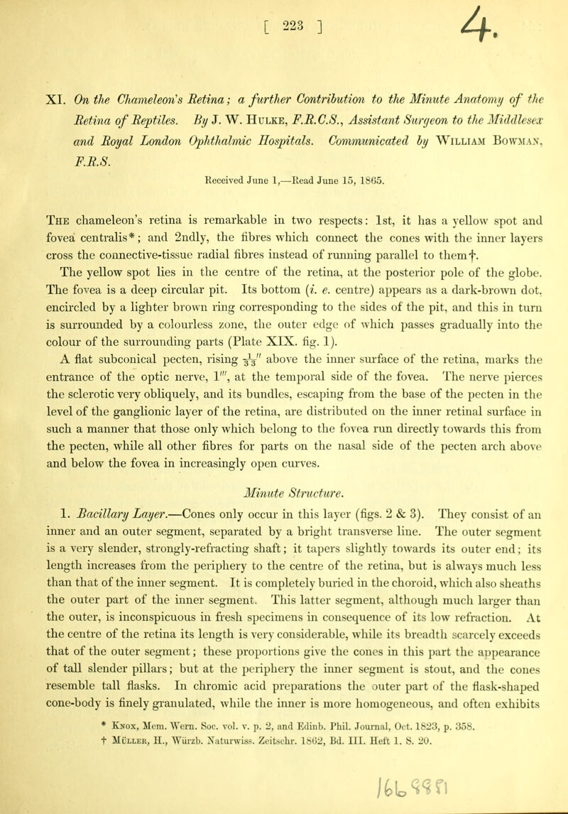 XI. On the Chameleon's Retina; a further Contrihutimi to the Minute Anatomy of the Eetina of Reptiles. By J. W. Hulke, F.R.C.S., Assistant Surgeon to the Middlesex and Royal London Ophthalmic Hospitals. Communicated hy William Bowman, F.R.S. Received June 1,—Read June 15, 1865. The chameleon's retina is remarkable in two respects: 1st, it lias a yellow spot and fovea centralis*; and 2ndly, the fibres which connect the cones with the inner layers cross the connective-tissue radial fibres instead of running parallel to themf. The yellow spot lies in the centre of the retina, at the posterior pole of the globe. The fovea is a deep circular pit. Its bottom (^. e. centre) appears as a dark-brown dot. encircled by a lighter brown ring corresponding to the sides of the pit, and this in turn is surrounded by a colourless zone, the outer edge of which passes gradually into the colour of the surrounding parts (Plate XIX. fig. 1). A flat subconical pecten, rising above the inner sm-face of the retina, marks the entrance of the optic nerve, 1', at the temporal side of the fovea. The nerve pierces the sclerotic very obliquely, and its bundles, escaping from the base of the pecten in the level of the ganglionic layer of the retina, are distributed on the inner retinal surface in such a manner that those only which belong to the fovea run directly towards this from the pecten, while all other fibres for parts on the nasal side of the pecten arch above and below the fovea in increasingly open curves. Minute Structure. 1. Bacillary Layer.—Cones only occur in this layer (figs. 2 & 3). They consist of an inner and an outer segment, separated by a bright transverse line. The outer segment is a very slender, strongly-refracting shaft; it tapers slightly towards its outer end; its length increases from the periphery to the centre of the retina, but is always much less than that of the inner segment. It is completely buried in the choroid, which also sheaths the outer part of the inner segment. This latter segment, although much larger than the outer, is inconspicuous in fresh specimens in consequence of its low refraction. At the centre of the retina its length is very considerable, while its breadth scarcely exceeds that of the outer segment; these proportions give the cones in this i)art the appearance of tall slender pillars; but at the periphery the inner segment is stout, and the cones resemble tall flasks. In chromic acid preparations the outer part of the flask-shaped cone-body is finely granulated, while the inner is more homogeneous, and often exhibits * Knox, Mem. Wcrn. Soc. vol. v. p. 2, and Edinb. Phil. Journal, Oct. 1823, p. 358. t MiiLLER, H., Wiirzb. :Natunviss. Zeitschr. 18G2, Bd. III. Heft 1. S. 20.