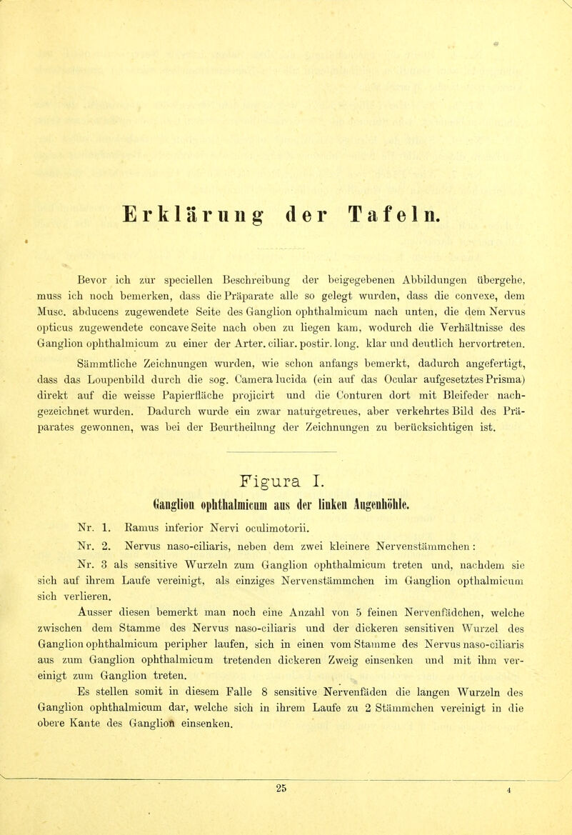 Erklärung der Tafeln. Bevor ich zur speciellen Beschreibung der beigegebenen Abbildungen übergehe, muss ich noch bemerken, dass die Präparate alle so gelegt wurden, dass die convexe, dem Muse, abducens zugewendete Seite des Ganglion ophthalmicum nach unten, die dem Nervus opticus zugewendete concave Seite nach oben zu liegen kam, wodurch die Verhältnisse des Ganglion ophthalmicum zu einer der Arter. ciliar, postir. long, klar und deutlich hervortreten. Sämmtliche Zeichnungen wurden, wie schon anfangs bemerkt, dadurch angefertigt, dass das Loupenbild durch die sog. Camera lucida (ein auf das Ocular aufgesetztes Prisma) direkt auf die weisse Papierfläche projicirt und die Conturen dort mit Bleifeder nach- gezeichnet wurden. Dadurch wurde ein zwar naturgetreues, aber verkehrtes Bild des Prä- parates gewonnen, was bei der Beurtheilnng der Zeichnungen zu berücksichtigen ist. Figura I. (iangliou ophthalmicum aus der linken Augenhöhle. Nr. 1. Kamus inferior Nervi oculimotorii. Nr. 2. Nervus naso-ciliaris, neben dem zwei kleinere Nervenstämmchen: Nr. 3 als sensitive Wurzeln zum Ganglion ophthalmicum treten und, nachdem sie sich auf ihrem Laufe vereinigt, als einziges Nervenstämmchen im Ganglion opthalmieum sich verlieren. Ausser diesen bemerkt man noch eine Anzahl von 5 feinen Nervenfädchen, welche zwischen dem Stamme des Nervus naso-ciliaris und der dickeren sensitiven Wurzel des Ganglion ophthalmicum peripher laufen, sich in einen vom Stamme des Nervus naso-ciliaris aus zum Ganglion ophthalmicum tretenden dickeren Zweig einsenken und mit ihm ver- einigt zum Ganglion treten. Es stellen somit in diesem Falle 8 sensitive Nervenfäden die langen Wurzeln des Ganglion ophthalmicum dar, welche sich in ihrem Laufe zn 2 Stämmohen vereinigt in die obere Kante des Gangliofi einsenken. 4