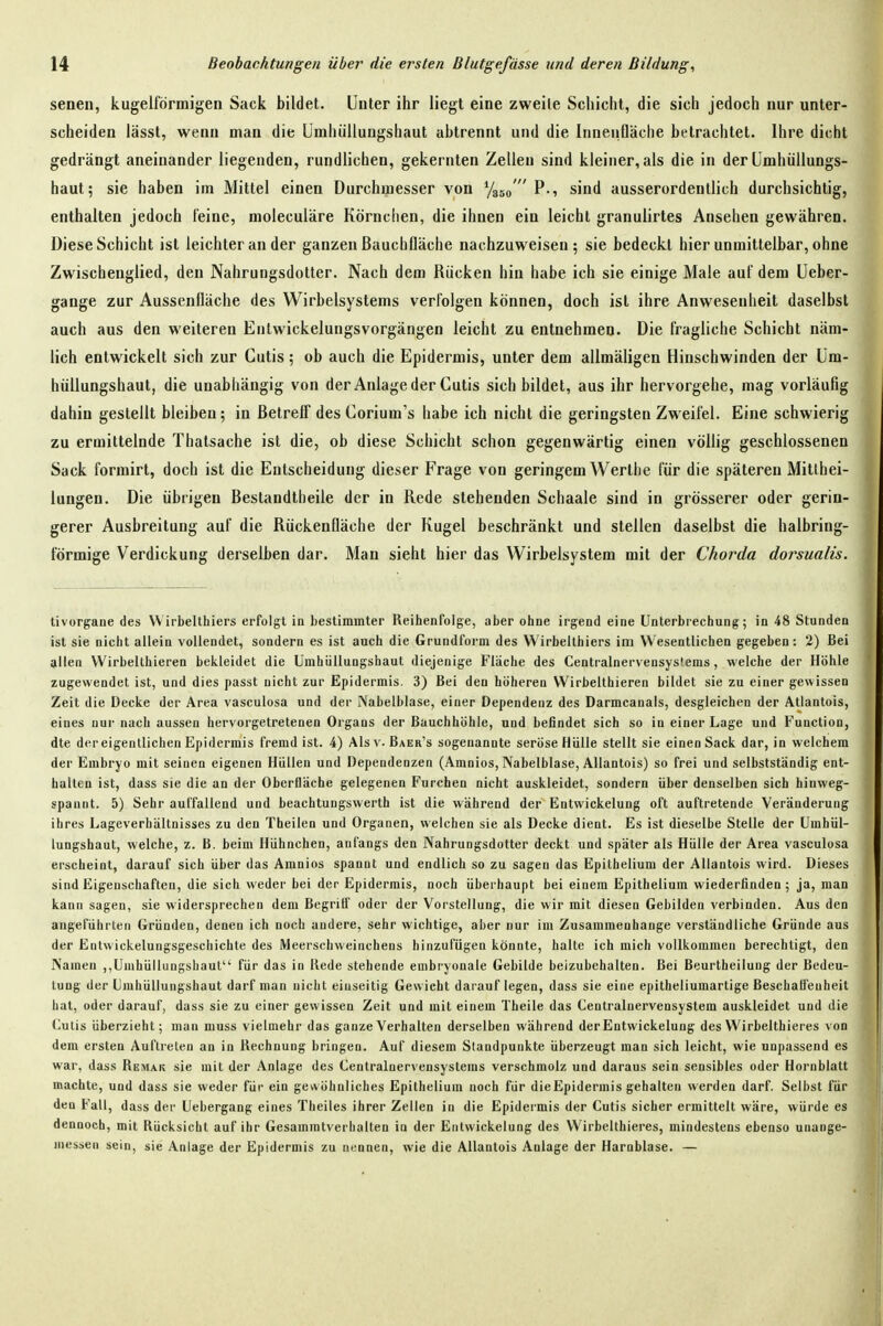 senen, kugelförmigen Sack bildet. Unter ihr liegt eine zweite Schicht, die sich jedoch nur unter- scheiden lässt, wenn man die Umhüllungshaut abtrennt und die Innenfläche betrachtet. Ihre dicht gedrängt aneinander liegenden, rundlichen, gekernten Zellen sind kleiner, als die in der Lmhüllungs- haut; sie haben im Mittel einen Durchmesser von Vsso  P-, sind ausserordentlich durchsichtig, enthalten jedoch feine, moleculäre Körnchen, die ihnen ein leicht granulirtes Ansehen gewähren. Diese Schicht ist leichter an der ganzen ßauchfläche nachzuweisen; sie bedeckt hier unmittelbar, ohne Zwischenglied, den Nahrungsdotter. Nach dem Rücken hin habe ich sie einige Male auf dem üeber- gange zur Aussenfläche des Wirbelsystems verfolgen können, doch ist ihre Anwesenheit daselbst auch aus den weiteren Enlwickelungsvorgängen leicht zu entnehmen. Die fragliche Schicht näm- lich entwickelt sich zur Cutis ; ob auch die Epidermis, unter dem allmäligen Hinschwinden der Üm- hüUungshaut, die unabhängig von der Anlage der Cutis sich bildet, aus ihr hervorgehe, mag vorläufig dahin gestellt bleiben; in Betreff des Corium's habe ich nicht die geringsten Zweifel. Eine schwierig zu eruiittelnde Thatsache ist die, ob diese Schicht schon gegenwärtig einen völlig geschlossenen Sack formirt, doch ist die Entscheidung dieser Frage von geringem Werthe für die späteren Mitthei- lungen. Die übrigen Bestandtheile der in Rede stehenden Schaale sind in grösserer oder gerin- gerer Ausbreitung auf die Rückenfläche der Kugel beschränkt und stellen daselbst die halbring- förmige Verdickung derselben dar. Man sieht hier das Wirbelsystem mit der Chorda dorsualis. tivorgane des Wirbelthiers erfolgt in bestimmter Reihenfolge, aber ohne irgend eine Unterbrechung; in 48 Stunden ist sie nicht allein vollendet, sondern es ist auch die Grundform des Wirbelthiers im Wesentlichen gegeben: 2) Bei allen Wirbelthieren bekleidet die Umhüllungshaut diejenige Flache des Centrainervensystems, welche der Höhle zugewendet ist, und dies passt nicht zur Epidermis. 3) Bei den höheren Wirbelthieren bildet sie zu einer gewissen Zeit die Decke der Area vasculosa und der iVabelblase, einer Dependeuz des Darmcanals, desgleichen der Atlantois, eines nur nach aussen hervorgetretenen Organs der Bauchhöhle, und befindet sich so in einer Lage und Function, die d(M'eigentlichen Epidermis fremd ist. 4) Als v. Baer's sogenannte seröse Hülle stellt sie einen Sack dar, in welchem der Embryo mit seinen eigenen Hüllen und Dependenzen (Amnios, Nabelblase, Allantois) so frei und selbstständig ent- halten ist, dass sie die an der Oberfläche gelegenen Furchen nicht auskleidet, sondern über denselben sich hinweg- spannt. 5) Sehr auffallend und beachtungswerth ist die während der Entwickelung oft auftretende Veränderung ihres Ijageverhältnisses zu den Theilen und Organen, welchen sie als Decke dient. Es ist dieselbe Stelle der Umhül- lungshaut, welche, z. B. beim Hühnchen, anfangs den Nahrungsdotter deckt und später als Hülle der Area vasculosa erscheint, darauf sich über das Amnios spannt und endlich so zu sagen das Epithelium der Allantois wird. Dieses sind Eigenschaften, die sich weder bei der Epidermis, noch überhaupt bei einem Epithelium wiederfinden; ja, man kann sagen, sie widersprechen dem Begritf oder der Vorstellung, die wir mit diesen Gebilden verbinden. Aus den angeführten Gründen, denen ich noch andere, sehr wichtige, aber nur im Zusammenhange verständliche Gründe aus der Entwickelungsgeschichte des Meerschweinchens hinzufügen könnte, halte ich mich vollkommen berechtigt, den Namen ,,Umhüllungshaut für das in Rede stehende embryonale Gebilde beizubehalten. Bei Beurtheilung der Bedeu- tung der Umhüllungshaut darf man nicht einseitig Gewicht darauflegen, dass sie eine epitheliumartige Beschafl'euheit hat, oder darauf, dass sie zu einer gewissen Zeit und mit einem Theile das Centralnervensyslem auskleidet und die Cutis überzieht; man muss vielmehr das ganze Verhalten derselben während der Entwickelung des Wirbelthieres von dem ersten Auftreten an in Rechnung bringen. Auf diesem Standpunkte überzeugt man sich leicht, wie unpassend es war, dass Remak sie mit der Anlage des Centrainervensystems verschmolz und daraus sein sensibles oder Hornblatt machte, und dass sie weder für ein gewöhnliches Epithelium noch für dieEpidermis gehalten werden darf. Selbst für den Fall, dass der Uebergang eines Theiles ihrer Zellen in die Epidermis der Cutis sicher ermittelt wäre, würde es dennoch, mit Rücksicht auf ihr Gesammtverhalten in der Entwickelung des Wirbelthieres, mindestens ebenso unange- messen sein, sie Anlage der Epidermis zu nennen, wie die Allantois Anlage der Harnblase. —