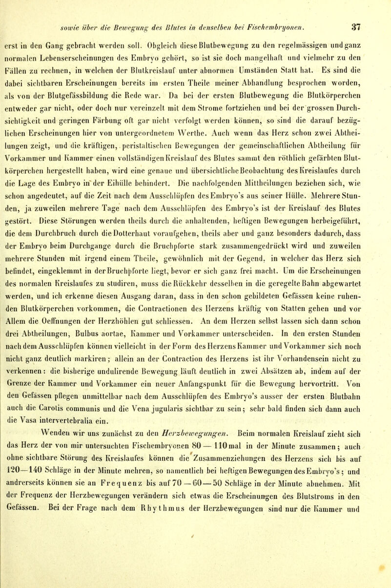 erst in den Gang gebracht werden soll. Obgleich diese Blutbewegiing zu den regelmässigen und ganz normalen Lebenserscheinungen des Embryo gehört, so ist sie doch mangelhart und vielmehr zu den Fallen zu rechnen, in welchen der Blutkreislauf unter abnormen Umständen Statt hat. Es sind die dabei sichtbaren Erscheinungen bereits im ersten Theile meiner Abhandlung besprochen worden, als von der Blutgefässbildung die Rede war. Da bei der ersten ßlutbewegung die Blutkörperchen entweder gar nicht, oder doch nur vereinzelt mit dem Strome fortziehen und bei der grossen Durch- sichtigkeit und geringen Färbung oft gar nicht verfolgt werden können, so sind die darauf bezüg- lichen Erscheinungen hier von untergeordnetem Werlhe. Auch wenn das Herz schon zwei Abthei- lungen zeigt, und die kräftigen, peristaltischen Bewegungen der gemeinschaftlichen Abiheilung für Vorkammer und Kammer einen vollständigen Kreislauf des Blutes sammt den röthlich gefärbten Blut- körperchen hergestellt haben, wird eine genaue und übersichtlicheBeobachtung des Kreislaufes durch die Lage des Embryo itf der Eihülle behindert. Die nachfolgenden Mittheilungen beziehen sich, wie schon angedeutet, auf die Zeit nach dem Ausschlüpfen desEmbryo's aus seiner Hülle. Mehrere Stun- den, ja zuweilen mehrere Tage nach dem Ausschlüpfen des Embryo's ist der Kreislauf des Blutes gestört. Diese Störungen werden theils durch die anhaltenden, heftigen Bewegungen herbeigeführt, die dem Durchbruch durch die Dotterhaut voraufgehen, theils aber und ganz besonders dadurch, dass der Embryo beim Durchgange durch die Bruchpforle stark zusammengedrückt wird und zuweilen mehrere Stunden mit irgend einem Theile, gewöhnlich mit der Gegend, in welcher das Herz sich befindet, eingeklemmt in der Bruchpforte liegt, bevor er sich ganz frei macht. Um die Erscheinungen des normalen Kreislaufes zu studiren, muss die Rückkehr desselben in die geregelte Bahn abgewartet werden, und ich erkenne diesen Ausgang daran, dass in den schon gebildeten Gefässeu keine ruhen- den Blutkörperchen vorkommen, die Contractionen des Herzens kräftig von Statten gehen und vor Allem die Oeffnungen der Herzhöhlen gut schliessen. An dem Herzen selbst lassen sich dann schon drei Abtheilungen, Bulbus aortae, Kammer und Vorkammer unterscheiden. In den ersten Stunden nachdem Ausschlüpfen können vielleicht in der Form des Herzens Kammer und Vorkammer sich noch nicht ganz deutlich markiren; allein an der Contraction des Herzens ist ihr Vorhandensein nicht zu verkennen: die bisherige undulirende Bewegung läuft deutlich in zwei Absätzen ab, indem auf der Grenze der Kammer und Vorkammer ein neuer Anfangspunkt für die Bewegung hervortritt. Von den Gefässen pflegen unmittelbar nach dem Ausschlüpfen des Embryo's ausser der ersten Blutbahn auch die Carotis communis und die Vena jugularis sichtbar zu sein; sehr bald finden sich dann auch die Vasa intervertebralia ein. Wenden wir uns zunächst zu den Herzbewegungen. Beim normalen Kreislauf zieht sich das Herz der von mir untersuchten Fischembryor.en 80— 110mal in der Minute zusammen; auch ohne sichtbare Störung des Kreislaufes können die Zusamraenziehungen des Herzens sich bis auf 120—140 Schläge in der Minute mehren, so namentlich bei heftigen Bewegungen desEmbryo's; und andrerseits können sie an Frequenz bis auf 70 —60—50 Schläge in der Minute abnehmen. Mit der Frequenz der Herzbewegungen verändern sich etwas die Erscheinungen des Blutstroms in den Gefässen. Bei der Frage nach dem Rhythmus der Hei'zbewegungen sind nur die Kammer und