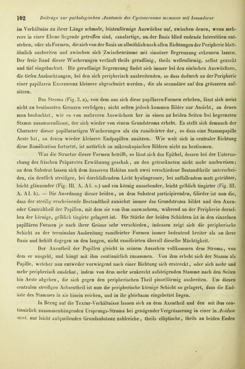 im Verhältniss zu ilirer Länge schmale, leistenförmige Auswüchse auf, zwischen denen, wenn meh- rere in einer Ebene liegende getroffen sind, canalarlige, an/der Basis blind endende Inlerstilien ent- stehen, oder als Formen, die sich von der Basis an allmählich nach allen Richtungen der Peripherie blatt- ähnlich ausbreiten und zwischen sich Zwischenräume mit sinuöser Begrenzung erkennen lassen. Der freie Rand dieser Wucherungen verläuft theils geradlinig, iheils wellenförmig, selbst gezackt und tief eingebuchtet. Die geradlinige Begrenzung findet sich immer bei den einfachen Auswüchsen, die tiefen Ausbuchlungen, bei den sich peripherisch ausbreitenden, so dass dadurch an der Peripherie einer papillären Excrescenz kleinere abgeschnürt werden, die als secundäre auf den grösseren auf- sitzen. Das Stroma (Fig. 3.a), von dem aus sich diese papillären Formen erheben, lässt sich meist nicht zu bestimmten Grenzen verfolgen; nicht selten jedoch kommen Bilder zur Ansicht, an denen man beobachtet, wie es von mehreren Auswüchsen her in einen zü beiden Seiten frei begrenzten Stamm zusammenfliessl, der sich wieder von einem Grundstroma erhebt. Es stellt sich demnach der Character dieser papillarartigen Wucherungen als ein ramilicirter dar, so dass eine Stammpapille Aestehat, an denen wieder kleinere Endpapillen ansitzen. Wie weit sich in centraler Richtung diese Ramißcation fortsetzt, ist natürlich an mikroskopischen Bildern nicht zu bestimmen. Was die Slructur dieser Formen betrifft, so lässt sich das Epithel, dessen bei der Untersu- chung des frischen Präparates Erwähnung geschah , an den getrockneten nicht mehr nachweisen; an dem Substrat lassen sich dem äusseren Habitus nach zwei verschiedene Bestandtheile unterschei- den, ein deutlich streifiger, bei durchfallendem Licht hyalingrauer, bei auffallendem matt getrübter, leicht glänzender (Fig. III. A. AI. a.) und ein körnig aussehender, leicht gelblich tingirter (Fig. III A. AI. b). — Die Anordnung dieser beiden, an dem Substrat participirenden, Glieder ist nun die dass der streifig erscheinende Bestandtheil zunächst immer das Grundstro;na bildet und den Axen oder Centraltlieil der Papillen, mit dem sie von ihm auswachsen, während an der Peripherie dersel ben der körnige, gelblich tingirle gelagert ist. Die Stärke der beiden Schichten ist in den einzelnen papillären Formen je nach ihrer Grösse sehr verschieden, indessen zeigt sich die peripherische Schicht an der terminalen Ausbreitung raraificirter Formen immer bedeutend breiter als an ihrer Basis und behält dagegen an den langen, nicht ramificirten überall dieselbe Mächtigkeit. Der Axentheil der Papillen gleicht in seinem Aussehen vollkommen dem Stroma, von dem er ausgeht, und hängt mit ihm continuirlich zusammen. Von ihm erhebt sich der Stamm als Papille, welcher nun entweder vorwiegend nach einer Richtung sich erstreckt, oder sich mehr und mehr peripherisch ausdehnt, indem von dem mehr senkrecht aufsteigenden Stamme nach den Seiten hin Aeste abgehen, die sich gegen den peripherischen Theil pinselförmig ausbreiten. Um diesen centralen streifigen Aclisentheil ist nun die peripherische körnige Schicht so gelagert, dass die Eud- äste des Stammes in sie hinein reichen, und in ihr gleichsam eingebettet liegen. In Bezug auf die Textur-Verhältnisse lassen sich an dem Axentheil und den mit ihm con- tinuirlich zusammenhängenden Ursprungs-Stroma bei genügender Vergrösserung in einer mAciduin ncet. nur leicht aurquellenden Grundsubstanz zahlreiche, theils elliptische, theils an beiden Enden
