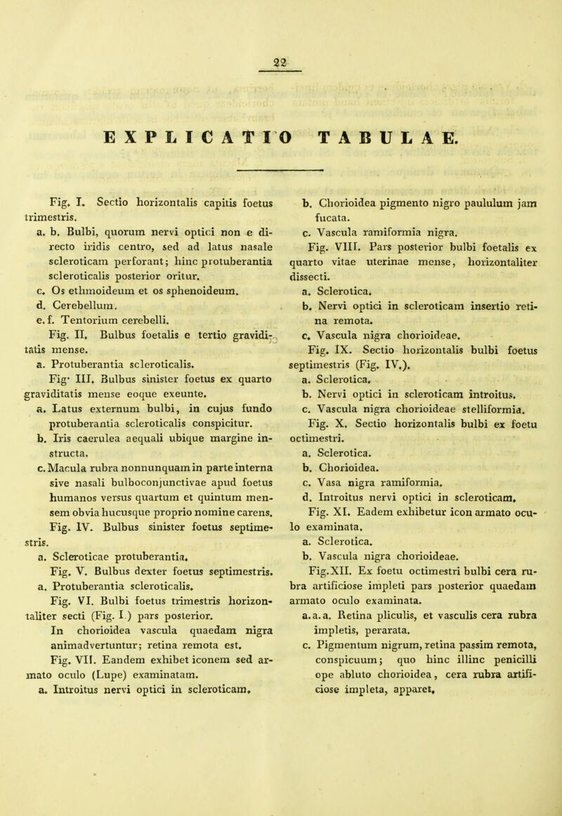 EXPLICATIO TABULAE. Fig» I» Sectio horizontalis capitis foetus trimestris. a. b. Bulbi, quorum nervi optici non e di- recto iridis centro, sed ad latus nasale scleroticam perforant; hinc piotuberantia scleroticalis posterior oritur. c. Os ethmoideum et os sphenoideum. d. Cerebellum. e. f. Tentorium cerebelli. Fig. II, Bulbus foetalis e tertio gravidi- tatis mense. a. Protuberantia scleroticalis. Fig- III. Bulbus sinister foetus ex quarto graviditatis mense eoque exeunte. a. Latus externum bulbi, in cujus fundo protuberantia scleroticalis conspicitur. b. Iris caerulea aequali ubique margine in- structa. c. Macula rubra nonnunquamin parteinterna sive nasali bulboconjunctivae apud foetus humanos versus quartum et quintum men- sem obvia hucusque proprio nomine carens. Fig. IV. Bulbus sinister foetus septime- stris. a. Scleroticae protuberantia, Fig. V. Bulbus dexter foetus septimestris. a. Protuberantia scleroticalis. Fig. VI. Bulbi foetus trimestris horizon- taliter secti (Fig. I.) pars posterior, In chorioidea vascula quaedam nigra animadvertuntur; retina remota est. Fig. VII. Eandem exhibet iconem sed ar- mato oculo (Lupe) examinatam, a. Introitus nervi optici in scleroticam. b. Chorioidea pigmento nigro paululum jam fucata. c. Vascula raraiformia nigra. Fig. VIIL Pars posterior bulbi foetahs ex quarto vitae uterinae mense, horizontaUter dissecti. a. Sclerotica. b. Nervi optici in scleroticam insertio reti- na remota. c. Vascula nigra chorioideae. Fig, IX, Sectio horizontaUs bulbi foetus septimestris (Fig. IV.). a, Sclerotica, b. Nervi optici in scleroticam introitus. 0. Vascula nigra chorioideae stelHformia. Fig. X. Sectio horizontaUs bulbi ex foetu octimestri, a, Sclerotica. b, Chorioidea. c, Vasa nigra ramiformia, d, Introitus nervi optici in scleroticam, Fig. XL Eadem exhibetur icon armato ocu- lo examinata. a. Sclerotica, b. Vascula nigra chorioideae. Fig.XII. Ex foetu octimestri bulbi cera ru- bra artificiose impleti pars posterior quaedam armato oculo examinata. a.a.a. Retina pUcuUs, et vascuUs cera xubra impletis, perarata. c. Pigmentum nigrum, retina passim remota, conspicuumj quo hinc ilUnc penicilU ope abluto chorioidea, cera xubxa aitifi- ciose impleta, apparet.