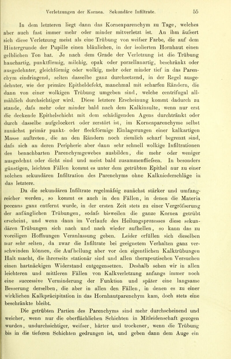 In dem letzteren liegt dann das Korneaparenchym zu Tage, welches aber auch fast immer mehr oder minder mitverletzt ist. An ihm äufsert sich diese Verletzung meist als eine Trübung von weifser Farbe, die auf dem Hintergrunde der Pupille einen bläulichen, in der isolierten Hornhaut einen gelblichen Ton hat. Je nach dem Grade der Verletzung ist die- Trübung hauchartig, punktförmig, milchig, opak oder porzellanartig, beschränkt oder ausgedehnter, gleichförmig oder wolkig, mehr oder minder tief in das Paren- chym eindringend, selten dasselbe ganz durchsetzend, in der Regel ausge- dehnter, wie der primäre Epitheldefekt, manchmal mit scharfen Rändern, die dann von einer wolkigen Trübung umgeben sind, welche centrifugal all- mählich durchsichtiger wird. Diese letztere Erscheinung kommt dadurch zu Stande, dafs mehr oder minder bald nach dem Kalkinsulte, wenn nur erst die deckende Epithelschicht mit dem schädigenden Agens durchtränkt oder durch dasselbe aufgelockert oder zerstört ist, im Korneaparenchyme selbst zunächst primär punkt- oder fleckförmige Einlagerungen einer kalkartigen Masse auftreten, die an den Rändern noch ziemlich scharf begrenzt sind, dafs sich an deren Peripherie aber dann sehr schnell wolkige Infiltrationen des benachbarten Parenchymgewebes ausbilden, die mehr oder weniger ausgedehnt oder dicht sind und meist bald zusammenfliefsen. In besonders günstigen, leichten Fällen kommt es unter dem getrübten Epithel nur zu einer solchen sekundären Infiltration des Parenchyms ohne Kalkniederschläge in das letztere. Da die sekundären Infiltrate regelmäfsig zunächst stärker und umfang- reicher werden, so kommt es auch in den Fällen, in denen die Materia peccans ganz entfernt wurde, in der ersten Zeit stets zu einer Vergröfserung der anfänglichen Trübungen, sodafs bisweilen die ganze Kornea getrübt erscheint, und wenn dann im Verlaufe des Heilungsprozesses diese sekun- dären Trübungen sich nach und nach wieder aufhellen, so kann das zu voreiligen Hoffnungen Veranlassung geben. Leider erfüllen sich dieselben nur sehr selten, da zwar die Infiltrate bei geeignetem Verhalten ganz ver- schwinden können, die Aufhellung aber vor den eigentlichen Kalktrübungen Halt macht, die ihrerseits stationär sind und allen therapeutischen Versuchen einen hartnäckigen Widerstand entgegensetzen. Deshalb sehen wir in allen leichteren und mittleren Fällen von Kalkverletzung anfangs immer noch eine successive Verminderung der Funktion und später eine langsame Besserung derselben, die aber in allen den Fällen, in denen es zu einer wirklichen Kalkpräcipitation in das Hornhautparenchym kam, doch stets eine beschränkte bleibt. Die getrübten Partien des Parenchyms sind mehr durchscheinend und weicher, wenn nur die oberflächlichen Schichten in Mitleidenschaft gezogen wurden, undurchsichtiger, weifser, härter und trockener, wenn die Trübung bis in die tieferen Schichten gedrungen ist, und geben dann dem Auge ein