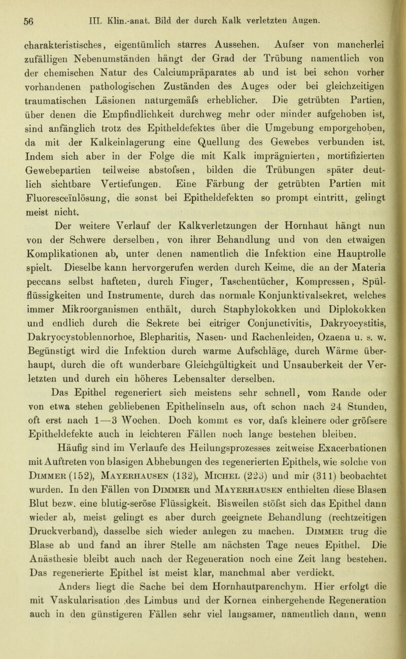 charakteristisches, eigentümlich starres Aussehen. Aufser von mancherlei zufälligen Nebenumständen hängt der Grad der Trübung namentlich von der chemischen Natur des Calciumpräparates ab und ist bei schon vorher vorhandenen pathologischen Zuständen des Auges oder bei gleichzeitigen traumatischen Läsionen naturgemäfs erheblicher. Die getrübten Partien, über denen die Empfindlichkeit durchweg mehr oder minder aufgehoben ist, sind anfänglich trotz des Epitheldefektes über die Umgebung emporgehoben, da mit der Kalkeinlagerung eine Quellung des Gewebes verbunden ist. Indem sich aber in der Folge die mit Kalk imprägnierten, mortifizierten Gewebepartien teilweise abstofsen, bilden die Trübungen später deut- lich sichtbare Vertiefungen. Eine Färbung der getrübten Partien mit Fluoresceinlösung, die sonst bei Epitheldefekten so prompt eintritt, gelingt meist nicht. Der weitere Verlauf der Kalkverletzungen der Hornhaut hängt nun von der Schwere derselben, von ihrer Behandlung und von den etwaigen Komplikationen ab, unter denen namentlich die Infektion eine Hauptrolle spielt. Dieselbe kann hervorgerufen werden durch Keime, die an der Materia peccans selbst hafteten, durch Finger, Taschentücher, Kompressen, Spül- flüssigkeiten und Instrumente, durch das normale Konjunktivalsekret, welches immer Mikroorganismen enthält, durch Staphylokokken und Diplokokken und endlich durch die Sekrete bei eitriger Conjunctivitis, Dakryocystitis, Dakryocystoblennorhoe, Blepharitis, Nasen- und Rachenleiden, Ozaena u. s. w. Begünstigt wird die Infektion durch warme Aufschläge, durch Wärme über- haupt, durch die oft wunderbare Gleichgültigkeit und Unsauberkeit der Ver- letzten und durch ein höheres Lebensalter derselben. Das Epithel regeneriert sich meistens sehr schnell, vom Rande oder von etwa stehen gebliebenen Epithelinseln aus, oft schon nach 24 Stunden, oft erst nach 1—3 Wochen. Doch kommt es vor, dafs kleinere oder gröfsere Epitheldefekte auch in leichteren Fällen noch lange bestehen bleiben. Häufig sind im Verlaufe des Heilungsprozesses zeitweise Exacerbationen mit Auftreten von blasigen Abhebungen des regenerierten Epithels, wie solche von Dimmer (152), Mayerhausen (132), Michel (223) und mir (311) beobachtet wurden. In den Fällen von Dimmer und Mayerhausen enthielten diese Blasen Blut bezw. eine blutig-seröse Flüssigkeit. Bisweilen stöfst sich das Epithel dann wieder ab, meist gelingt es aber durch geeignete Behandlung (rechtzeitigen Druckverband), dasselbe sich wieder anlegen zu machen. Dimmer trug die Blase ab und fand an ihrer Stelle am nächsten Tage neues Epithel. Die Anästhesie bleibt auch nach der Regeneration noch eine Zeit lang bestehen. Das regenerierte Epithel ist meist klar, manchmal aber verdickt. Anders liegt die Sache bei dem Hornhautparenchym. Hier erfolgt die mit Vaskularisation ,des Limbus und der Kornea einhergehende Regeneration auch in den günstigeren Fällen sehr viel laugsamer, namentlich dann, wenn