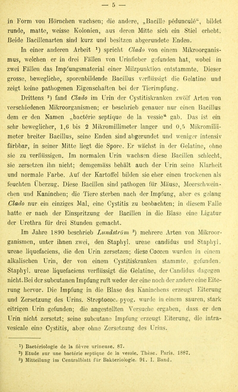 in Form von Hörnchen wachsen; die andere, „Bacille peduncule''\ bildet runde, matte, weisse Kolonien, aus deren Mitte sich ein Stiel erhebt. Beide Bacillonarten sind kurz und besitzen abgerundete Enden. In einer anderen Arbeit ^) spricht Glado von einem Mikroorganis- mus, welchen er in drei Fällen von Urinfieber gefunden hat, wobei in zwei Fällen das Imp^'ungsmaterial einer Milzpunktion entstammte. Dieser grosse, bewegliche, sporenbildende Bacillus verflüssigt die Gelatine und zeigt keine pathogenen Eigenschaften bei der Tierimpfung. Drittens ^) fand Clado im Urin der Cystitiskranken zwölf Arten von verschiedenen Mikroorganismen; er beschrieb genauer nur einen Bacillus dem er den Namen ,^bacterie septique de la vessie** gab. Das ist ein sehr beweglicher, 1,6 bis 2 Mikromillimeter langer und 0,5 Mikromilli- meter breiter Bacillus, seine Enden sind abgerundet und weniger intensiv färbbar, in seiner Mitte liegt die Spore. Er wächst in der Gelatine, ohne sie zu verflüssigen. Im normalen Urin wachsen diese Bacillen schlecht, sie zersetzen ihn nicht; demgemäss behält auch der Urin seine Klarheit und normale Farbe. Auf der Kartoffel bilden sie eher einen trockenen als feuchten Überzug. Diese Bacillen sind pathogen für Mäuse, Meerschwein- chen und Kaninchen; die Tiere sterben nach der Impfung, aber es gelang Clado nur ein einziges Mal, eine Cystitis zu beobachten; in diesem Falle hatte er nach der Einspritzung der Bacillen in die Blase eine Ligatur der Urethra für drei Stunden gemacht. Im Jahre 1890 beschrieb Limdström ^) mehrere Arten von ]\Iikroor- ganismen, unter ihnen zwei, den Staphyl. ureae Candidus und Staphyl. ureae liquefaciens, die den Urin zersetzen; diese Coccen wurden in einem alkalischen Urin, der von einem Cystitiskranken stammte, gefunden. Staphyl. ureae liquefaciens verflüssigt die Gelatine, der Candidus dagegen nicht. Bei der subcutanen Impfung ruft weder der eine noch der andere eine Eite- rung hervor. Die Impfung in die Blase des Kaninchens erzeugt Eiterung und Zersetzung des Urins. Streptococ. pyog. wurde in einem sauren, stark eitrigen Urin gefunden; die angestellten Versuche ergaben, dass er den Urin nicht zersetzt; seine subcutane Impfung erzeugt Eiterung, die intra- vesicale eine Cystitis, aber ohne Zersetzung des Urins. 1) Bacteriologie de la fievre urineuse. 87. 2) Etüde sur une bacterie septique de la vessie. These. I\'\ris. 1887.