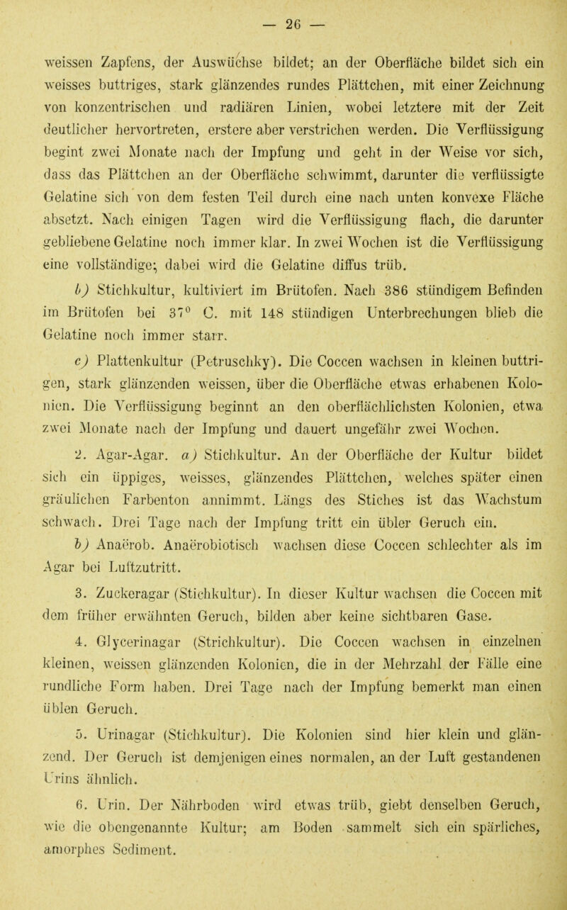 weissen Zapfens, der Auswüchse bildet; an der Oberfläche bildet sich ein weisses buttriges, stark glänzendes rundes Plättchen, mit einer Zeichnung von konzentrischen und radiären Linien, wobei letztere mit der Zeit deutlicher hervortreten, erstere aber verstrichen werden. Die Verflüssigung begint zwei Monate nacli der Impfung und geht in der Weise vor sich, dass das Plättchen an der Oberfläche schwimmt, darunter die verflüssigte Gelatine sich von dem festen Teil durch eine nach unten konvexe Fläche absetzt. Nach einigen Tagen wird die Verflüssigung flach, die darunter gebliebene Gelatine noch immer klar. In zwei Wochen ist die Verflüssigung eine vollständige:, dabei wird die Gelatine diffus trüb. b) Stichkultur, kultiviert im Brütofen. Nach 386 stündigem Befinden im Brütofen bei 37^ C. mit 148 stündigen Unterbrechungen blieb die Gelatine noch immer starr. c) Plattenkultur (Petruschky). Die Coccen wachsen in kleinen buttri- gen, stark glänzenden weissen, über die Oberfläche etwas erhabenen Kolo- nien. Die Verflüssigung beginnt an den oberflächlichsten Kolonien, etwa zwei Monate nach der Impfung und dauert ungefähr zwei Wochen. 2. Agar-Agar, a) Stichkultur. An der Oberfläche der Kultur bildet sich ein üppiges, weisses, glänzendes Plättchen, welches später einen gräulichen Farbenton annimmt. Längs des Stiches ist das Wachstum schwach. Drei Tage nach der Impfung tritt ein übler Geruch ein. h) Anaerob. Anaerobiotisch wachsen diese Coccen schlechter als im Agar bei Luftzutritt. 3. Zuckeragar (Stichkultur). In dieser Kultur wachsen die Coccen mit dem früher erwähnten Geruch, bilden aber keine sichtbaren Gase. 4. Glycerinagar (Strichkultur). Die Coccen wachsen in einzelnen kleinen, weissen glänzenden Kolonien, die in der Mehrzahl der Fälle eine rundliche Form haben. Drei Tage nach der Impfung bemerkt man einen üblen Geruch. 5. Urinagar (Stichkultur}. Die Kolonien sind hier klein und glän- zend. Der Geruch ist demjenigen eines normalen, an der Luft gestandenen Urins ähnUch. 6. Urin. Der Nährboden wird etv^as trüb, giebt denselben Geruch, wie die obengenannte Kultur; am Boden sammelt sich ein spärliches, an}orphes Sediment.