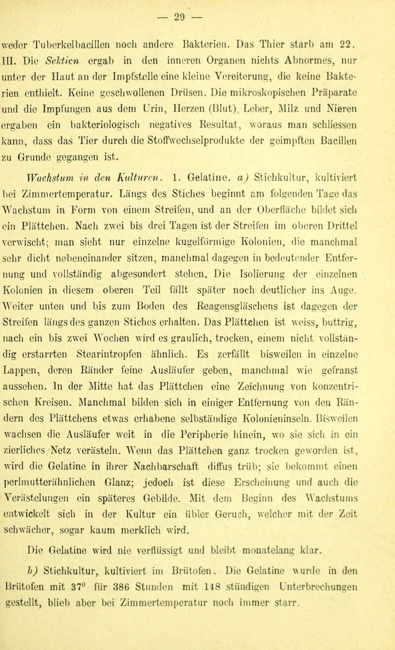 weder Tuberkelbacillen noch andere Bakterien. Das Thier starb am 22. III. Die Seldicn ergab in den inneren Organen nichts Abnormes, nur unter der Haut an der Impfstelle eine kleine Vereiterung, die keine Bakte- rien enthielt. Keine geschwollenen Drüsen. Die mikroskopischen Präparate und die Impfungen aus dem Urin, Herzen (Blut), Leber, Milz und Nieren ergaben ein bakteriologisch negatives Resultat, w^oraus man schliessen kann, dass das Tier durch die Stolfwechselprodukte der geimpften Bacillen zu Grunde gegangen ist. Wachstum in den Kulturen. 1. Gelatine, a) Stichkultur, kultiviert bei Zimmertemperatur. Längs des Stiches beginnt am folgenden Tage das Wachstum in Form von einem Streifen, und an der Oberfläche bildet sich ein Plättchen. Nach zwei bis drei Tagen ist der Streifen im oberen Drittel verwischt; man sieht nur einzelne kugelförmige Kolonien, die manchmal sehr dicht nebeneinander sitzen, manchmal dagegen in bedeutender Entfer- nung und vollständig abgesondert stehen. Die Isolierung der einzelnen Kolonien in diesem oberen Teil fällt später noch deutlicher ins Auge. Weiter unten und bis zum Boden des Reagensgläschens ist dagegen der Streifen längs des ganzen Stiches erhalten. Das Plättchen ist weiss, buttrig, nach ein bis zwei Wochen wird es graulich, trocken, einem nicht vollstän- dig erstarrten Stearintropfen ähnlich. Es zerfällt bisweilen in einzelne Lappen, deren Ränder feine Ausläufer geben, manchmal wie gefranst aussehen. In der Mitte hat das Plättchen eine Zeichnung von konzentri- schen Kreisen. Manchmal bilden sich in einiger Entfernung von den Rän- dern des Plättchens etwas erhabene selbständige Kolonieninseln. Bisweilen wachsen die Ausläufer weit in die Peripherie hinein, w^o sie sich in ein zierliches Netz verästeln. Wenn das Plättchen ganz trocken geworden ist, wird die Gelatine in ihrer Nachbarschaft diffus trüb; sie bekommt einen perlmutterähnlichen Glanz; jedoch ist diese Erscheinung und auch die Verästelungen ein späteres Gebilde. Mit dem Beginn des Wachstunis entwickelt sich in der Kultur ein übler Geruch, welcher mit der Zeit schwächer, sogar kaum merklich wird. Die Gelatine wird nie verflüssigt und bleibt monatelang klar. h) Stichkultur, kultiviert im Brütofen. Die Gelatine ^^urde in den Brütofen mit 37^ für 386 Stunden mit 148 stündigen Unterbrechungen gestellt, blieb aber bei Zimmertemperatur noch immer starr.