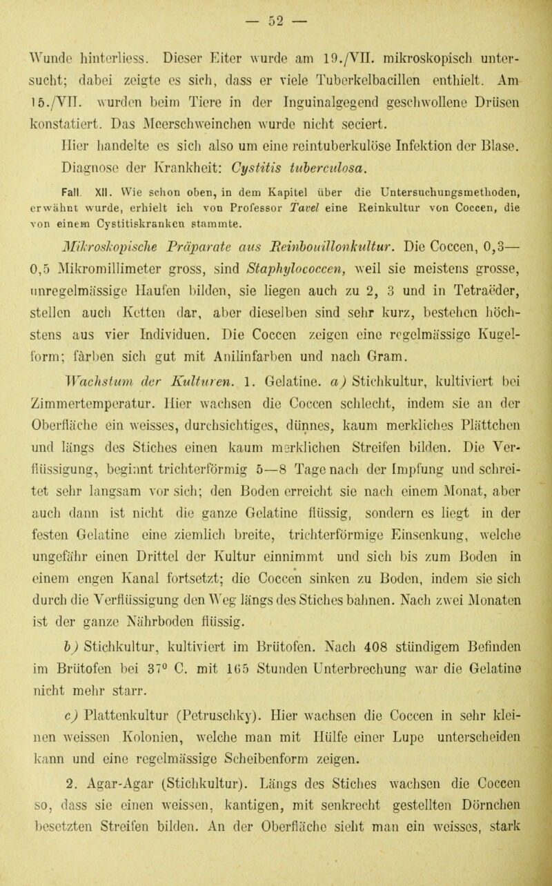 Wunde hintcrliess. Dieser Eiter wurde am 19./VII. mikroskopisch unter- sucht; dabei zeigte es sich, dass er viele Tuberkelbacillen enthielt. Am 15./VTI. wurden beim Tiere in der Inguinalgegend gescliwollene Drüsen konstatiert. Das Meerschweinchen w^urde nicht seciert. Hier handelte es sich also um eine reintuberkulöse Infektion der Blase. Diagnose der Krankheit: Cystüis tuherculosa, Fall. XII. Wie schon oben, in dem Kapitel über die Untersuchungsmetlioden, erwähnt wurde, erhielt ich von Professor Tavel eine Reinkultur von Coccen, die von einem Cystitiskrankcn stammte. Milirosliopisclie Präparate aus Beinhouillonkultur. Die Coccen, 0,3— 0,5 Mikromillimeter gross, sind Staphylococcen, weil sie meistens grosse, Tinregelmässige Haufen bilden, sie liegen auch zu 2, 3 und in Tetraeder, stellen auch Ketten dar, aber dieselben sind sehr kurz, bestehen höch- stens aus vier Individuen. Die Coccen zeigen eine regelmässige Kugel- form; färben sich gut mit Anilinfarben und nach Gram. Wachstum der Kulturen. 1. Gelatine, Stichkultur, kultiviert bei Zimmertemperatur. Hier wachsen die Coccen schlecht, indem sie an der Oberfläche ein weisses, durchsichtiges, dünnes, kaum merkliches Plättchen und längs des Stiches einen kaum merklichen Streifen bilden. Die Ver- flüssigung, beginnt trichterförmig 5—8 Tage nach der Impfung und schrei- tet sehr langsam vor sich; den Boden erreicht sie nach einem Monat, aber auch dann ist nicht die ganze Gelatine flüssig, sondern es liegt in der festen Gelatine eine ziemlich breite, trichterförmige Einsenkung, welche ungefähr einen Drittel der Kultur einnimmt und sich bis zum Boden in einem engen Kanal fortsetzt; die Coccen sinken zu Boden, indem sie sich durch die Verflüssigung den Weg längs des Stiches bahnen. Nach zwei Monaten ist der ganze Nährboden flüssig. h) Stichkultur, kultiviert im Brütofen. Nach 408 stündigem Befinden im Brütofen bei 37^ C. mit 165 Stunden Unterbrechung war die Gelatine nicht mehr starr. c) Plattenkultur (Petruschky). Hier wachsen die Coccen in sehr klei- nen weissen Kolonien, w^eiche man mit Hülfe einer Lupe unterscheiden kann und eine regelmässige Scheibenform zeigen. 2. Agar-Agar (Stichkultur). Längs des Stiches wachsen die Coccen so, dass sie einen weissen, kantigen, mit senkrecht gestellten Dörnchen besetzten Streifen bilden. An der Oberfläche sieht man ein weisses, stark