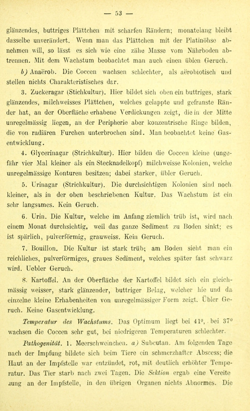 glänzendes, buttriges Plättchen mit scharfen Rändern; monatelang bleibt dasselbe unverändert. Wenn man das Plättchen mit der Platinöhse ab- nehmen will, so lässt es sich wie eine zähe Masse vom Nährboden ab- trennen. Mit dem Wachstum beobachtet man auch einen üblen Geruch. b) AnsbGYoh. Die Coccen wachsen schlechter, als aerobiotisch und stellen nichts Charakteristisches dar. 3. Zuckeragar (Stichkultur). Hier bildet sich oben ein buttriges, stark glänzendes, milch weisses Plättchen, w^elches gelappte und gefranste Rän- der hat, an der Oberfläche erhabene Verdickungen zeigt, die in der Mitte unregelmässig liegen, an der Peripherie aber konzentrische Riuge bilden, die von radiären Furchen unterbrochen sind. Man beobachtet keine Gas- entwicklung. 4. Glycerinagar (Strichkultur). Hier bilden die Coccen kleine (unge- fähr vier Mal kleiner als ein Stecknadelkopf) milch weisse Kolonien, w^elche unregelmässige Konturen besitzen; dabei starker, übler Geruch. 5. Urinagar (Strichkultur). Die durchsichtigen Kolonien sind noch kleiner, als in der oben beschriebenen Kultur. Das Wachstum ist ein sehr langsames. Kein Geruch. 6. Urin. Die Kultur, welche im Anfang ziemlich trüb ist, wird nach einem Monat durchsichtig, weil das ganze Sediment zu Boden sinkt; es ist spärlich, pulverförmig, grauw^eiss. Kein Geruch. 7. Bouillon. Die Kultur ist stark trüb; am Boden sieht man ein reichliches, pulverförmiges, graues Sediment, w^elches später fast schwarz wird. Uebler Geruch. 8. Kartoffel. An der Oberfläche der Kartoffel bildet sich ein gleich- mässig weisser, stark glänzender, buttriger Belag, w^elcher hie und da einzelne kleine Erhabenheiten von unregelmässiger Form zeigt. Übler Ge- ruch. Keine Gasentwicklung. Temperatur des Wachstums. Das Optimum liegt bei 41^, bei 37^ wachsen die Coccen sehr gut, bei niedrigeren Temperaturen schlechter. Pathogenität. 1. Meerschweinchen, a) Subcutan. Am folgenden Tage nach der Impfung bildete sich beim Tiere ein schmerzhafter Abscess; die Haut an der Impfstelle war entzündet, rot, mit deutlich erhöhter Tempe- ratur. Das Tier starb nach zwei Tagen. Die Sektion ergab eine Vereite jung an der Impfstelle, in den übrigen Organen niclits Abnormes. Die