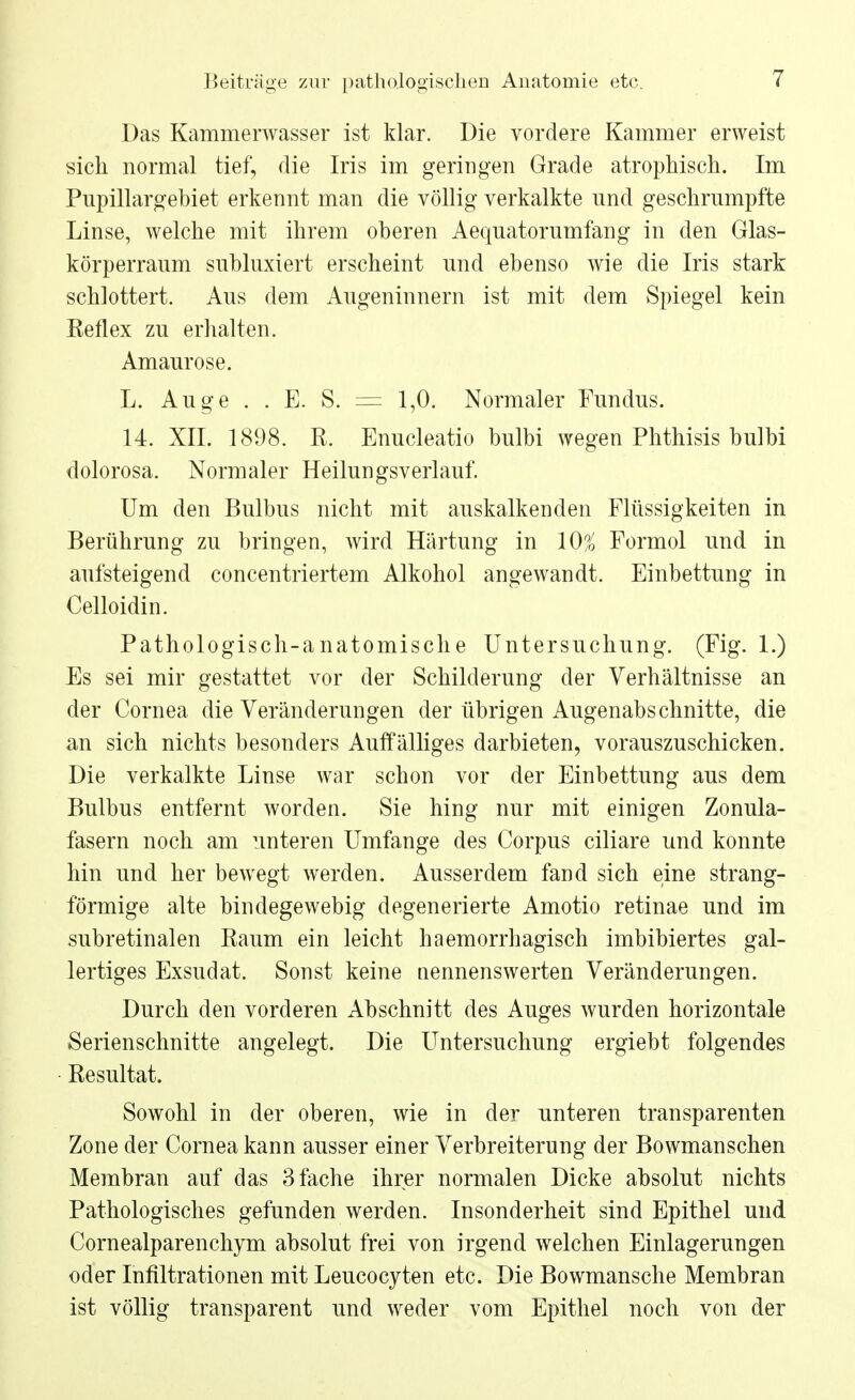 Das Kamnierwasser ist klar. Die vordere Kammer erweist sich normal tief, die Iris im geringen Grade atrophisch. Im Pupillargebiet erkennt man die völlig verkalkte und geschrumpfte Linse, welche mit ihrem oberen Aequatorumfang in den Glas- körperraum subluxiert erscheint und ebenso wie die Iris stark schlottert. Aus dem Augeninnern ist mit dem Spiegel kein Reflex zu erhalten. Amaurose. L. Auge . . E. S. == 1,0. Normaler Fundus. 14. XII. 1898. R. Enucleatio bulbi wegen Phthisis bulbi dolorosa. Normaler Heilungsverlauf. Um den Bulbus nicht mit auskalkenden Flüssigkeiten in Berührung zu bringen, wird Härtung in 10$ Formol und in aufsteigend concentriertem Alkohol angewandt. Einbettung in Celloidin. Pathologisch-anatomische Untersuchung. (Fig. 1.) Es sei mir gestattet vor der Schilderung der Verhältnisse an der Cornea die Veränderungen der übrigen Augenabschnitte, die an sich nichts besonders Auffälliges darbieten, vorauszuschicken. Die verkalkte Linse war schon vor der Einbettung aus dem Bulbus entfernt worden. Sie hing nur mit einigen Zonula- fasern noch am unteren Umfange des Corpus ciliare und konnte hin und her bewegt werden. Ausserdem fand sich eine strang- förmige alte bindegewebig degenerierte Amotio retinae und im subretinalen Raum ein leicht haemorrhagisch imbibiertes gal- lertiges Exsudat. Sonst keine nennenswerten Veränderungen. Durch den vorderen Abschnitt des Auges wurden horizontale Serienschnitte angelegt. Die Untersuchung ergiebt folgendes Resultat. Sowohl in der oberen, wie in der unteren transparenten Zone der Cornea kann ausser einer Verbreiterung der Bowmanschen Membran auf das 3 fache ihrer normalen Dicke absolut nichts Pathologisches gefunden werden. Insonderheit sind Epithel und Cornealparenchym absolut frei von irgend welchen Einlagerungen oder Infiltrationen mit Leucocyten etc. Die Bowmansche Membran ist völlig transparent und weder vom Epithel noch von der