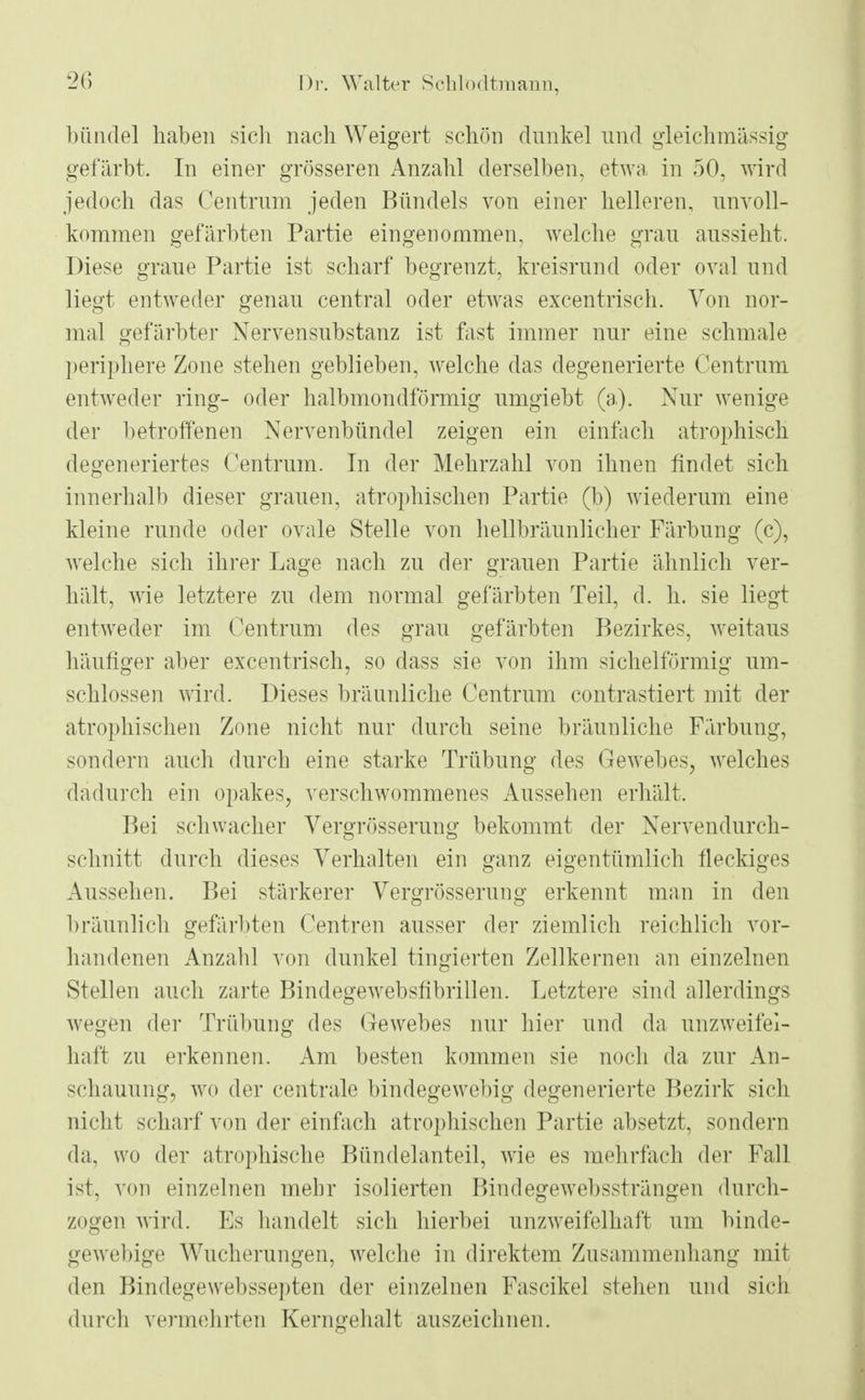 bündel haben sich nach Weigert schön dunkel und gleich massig gefärbt. In einer grösseren Anzahl derselben, etwa in 50, wird jedoch das Centrum jeden Bündels von einer helleren, unvoll- kommen gefärbten Partie eingenommen, welche grau aussieht. Diese graue Partie ist scharf begrenzt, kreisrund oder oval und liegt entweder genau central oder etwas excentrisch. Von nor- mal gefärbter Nervensubstanz ist fast immer nur eine schmale periphere Zone stehen geblieben, welche das degenerierte Centrum entweder ring- oder halbmondförmig umgiebt (a). Nur wenige der betroffenen Nervenbündel zeigen ein einfach atrophisch degeneriertes Centrum. In der Mehrzahl von ihnen findet sich innerhalb dieser grauen, atrophischen Partie (b) wiederum eine kleine runde oder ovale Stelle von hellbräunlicher Färbung (c), welche sich ihrer Lage nach zu der grauen Partie ähnlich ver- hält, wie letztere zu dem normal gefärbten Teil, d. h. sie liegt entweder im Centrum des grau gefärbten Bezirkes, weitaus häufiger aber excentrisch, so dass sie von ihm sichelförmig um- schlossen wird. Dieses bräunliche Centrum contrastiert mit der atrophischen Zone nicht nur durch seine bräunliche Färbung, sondern auch durch eine starke Trübung des Gewebes, welches dadurch ein opakes, verschwommenes Aussehen erhält. Bei schwacher Vergrösserung bekommt der Nervendurch- schnitt durch dieses Verhalten ein ganz eigentümlich fleckiges Aussehen. Bei stärkerer Vergrösserung erkennt man in den bräunlich gefärbten Centren ausser der ziemlich reichlich vor- handenen Anzahl von dunkel tingierten Zellkernen an einzelnen Stellen auch zarte Bindegewebsfibrillen. Letztere sind allerdings wegen der Trübung des Gewebes nur hier und da unzweifel- haft zu erkennen. Am besten kommen sie noch da zur An- schauung, wo der centrale bindegewebig degenerierte Bezirk sich nicht scharf von der einfach atrophischen Partie absetzt, sondern da, wo der atrophische Bündelanteil, wie es mehrfach der Fall ist, von einzelnen mehr isolierten Bindegewebssträngen durch- zogen wird. Es handelt sich hierbei unzweifelhaft um binde- gewebige Wucherungen, welche in direktem Zusammenhang mit den Bindegewebssepten der einzelnen Fascikel stehen und sich durch vermehrten Kerngehalt auszeichnen.