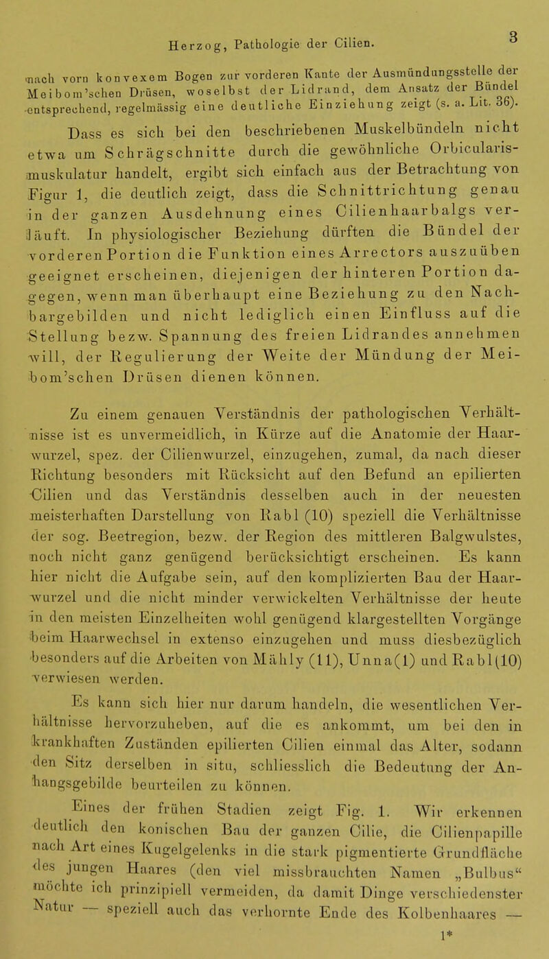 •nach vom konvexem Bogen zur vorderen Kante der Ausmündungsstolle der Meibom'schen Drüsen, woselbst der Lidrand, dem Ansatz der Bündel entsprechend, regelmässig eine deutliche Einziehung zeigt (s. a. Lit. 6b). Dass es sich bei den beschriebenen Muskelbündeln nicht etwa um Schrägschnitte durch die gewöhnliche Orbicularis- anuskulatur handelt, ergibt sich einfach aus der Betrachtung von Figur 1, die deutlich zeigt, dass die Schnittrichtung genau in der ganzen Ausdehnung eines Cilienhaarbalgs ver- läuft. In physiologischer Beziehung dürften die Bündel der vorderen Portion die Funktion eines Arrectors auszuüben geeignet erscheinen, diejenigen der hinteren Portion da- gegen, wenn man überhaupt eine Beziehung zu den Nach- bargebilden und nicht lediglich einen Einfluss auf die Stellung bezw. Spannung des fr eien Lid ran des ann e h men will, der Kegulierung der Weite der Mündung der Mei- bom'schen Drüsen dienen können. Zu einem genauen Verständnis der pathologischen Verhält- nisse ist es unvermeidlich, in Kürze auf die Anatomie der Haar- wurzel, spez. der Cilienwurzel, einzugehen, zumal, da nach, dieser Richtung besonders mit Rücksicht auf den Befund an epilierten •Cilien und das Verständnis desselben auch, in der neuesten meisterhaften Darstellung von Rabl (10) speziell die Verhältnisse der sog. Beetregion, bezw. der Region des mittleren Balgwulstes, noch nicht ganz genügend berücksichtigt erscheinen. Es kann hier nicht die Aufgabe sein, auf den komplizierten Bau der Haar- wurzel und die nicht minder verwickelten Verhältnisse der heute in den meisten Einzelheiten wohl genügend klargestellten Vorgänge beim Haarwechsel in extenso einzugehen und muss diesbezüglich besonders auf die Arbeiten von Mähly (11), Unna(l) und Rabl(10) verwiesen werden. Es kann sich hier nur darum handeln, die wesentlichen Ver- hältnisse hervorzuheben, auf die es ankommt, um bei den in krankhaften Zuständen epilierten Cilien einmal das Alter, sodann den Sitz derselben in situ, schliesslich die Bedeutung der An- hangsgebilde beurteilen zu können. Eines der frühen Stadien zeigt Fig. 1. Wir erkennen deutlich den konischen Bau der ganzen Cilie, die Cilienpapille nach Art eines Kugelgelenks in die stark pigmentierte Grundfläche des jungen Haares (den viel missbrauchten Namen „B ulbus möchte ich prinzipiell vermeiden, da damit Dinge verschiedenster Natur — speziell auch das verhornte Ende des Kolbenhaares — 1*