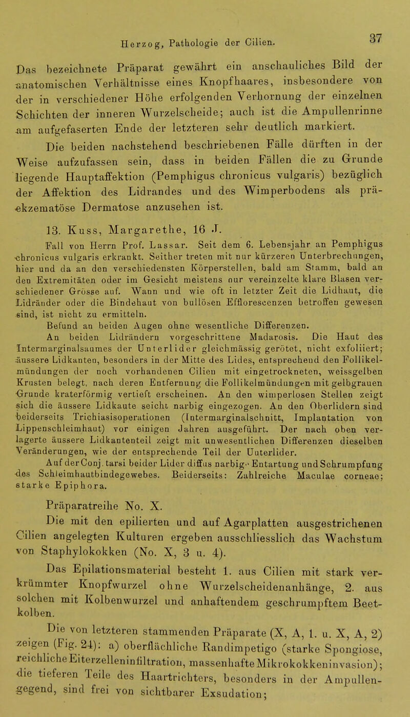 Das bezeichnete Präparat gewährt ein anschauliches Bild der anatomischen Verhältnisse eines Knopfhaares, insbesondere von der in verschiedener Höhe erfolgenden Verhornung der einzelnen Schichten der inneren Wurzelscheide; auch ist die Ampullenrinne iim aufeefaserten Ende der letzteren sehr deutlich markiert. Die beiden nachstehend beschriebenen Fälle dürften in der Weise aufzufassen sein, dass in beiden Fällen die zu Grunde liegende Hauptaffektion (Pemphigus chronicus vulgaris) bezüglich der Affektion des Lidrandes und des Wimperbodens als prä- •ekzematöse Dermatose anzusehen ist. 13. Kuss, Margarethe, 16 J. Fall von Herrn Prof. Lassar. Seit dem 6. Lebensjahr an Pemphigus •chronicus vulgaris erkrankt. Seither treten mit nur kürzeren Unterbrechungen, hier und da an den verschiedensten Körperstellen, bald am Stamm, bald an den Extremitäten oder im Gesicht meistens nur vereinzelte klare Blasen ver- schiedener Grösse auf. Wann und wie oft in letzter Zeit die Lidhaut, die Lidränder oder die Bindehaut von bullösen Efflorescenzen betroffen gewesen «ind, ist nicht zu ermitteln. Befund an beiden Augen ohne wesentliche Differenzen. An beiden Lidrändern vorgeschrittene Madarosis. Die Haut des Intermarginalsaumes der Unterlider gleichmässig gerötet, nicht exfoliiert; äussere Lidkanten, besonders in der Mitte des Lides, entsprechend den Follikel- mündungen der noch vorhandenen Cilien mit eingetrockneten, weissgelben Krusten belegt, nach deren Entfernung die Follikelmündungen mit gelbgrauen Grunde kraterförmig vertieft erscheinen. An den wimperlosen Stellen zeigt sich die äussere Lidkaute seicht narbig eingezogen. An den Oberlidern sind beiderseits Trichiasisoperationen (Intermarginalschnitt, Implantation von Lippenschleimhaut) vor einigen Jahren ausgeführt. Der nach oben ver- lagerte äussere Lidkantenteil zeigt mit unwesentlichen Differenzen dieselben Veränderungen, wie der entsprechende Teil der Uuterlider. Auf derConj.tarsi beider Lider diffus narbig Entartung und Schrumpfung des Schleimhautbindegewebes. Beiderseits: Zahlreiche Maculae corneae; starke Epiphora. Präparatreihe No. X. Die mit den epilierten und auf Agarplatten ausgestrichenen Cilien angelegten Kulturen ergeben ausschliesslich das Wachstum von Staphylokokken (No. X, 3 u. 4). Das Epilationsmaterial besteht 1. aus Cilien mit stark ver- krümmter Knopfwurzel ohne Wurzelscheidenanhänge, 2. aus solchen mit Kolbenwurzel und anhaftendem geschrumpftem Beet- kolben. Die von letzteren stammenden Präparate (X, A, 1. u. X, A, 2) zeigen (Fig. 24): a) oberflächliche Randimpetigo (starke Spongiose, reichlicheEiterzelleninliltration,massenhafteMikrokokkeninvasion); die tieferen Teile des Haartrichters, besonders in der Ampullen- gegend, sind frei von sichtbarer Exsudation;