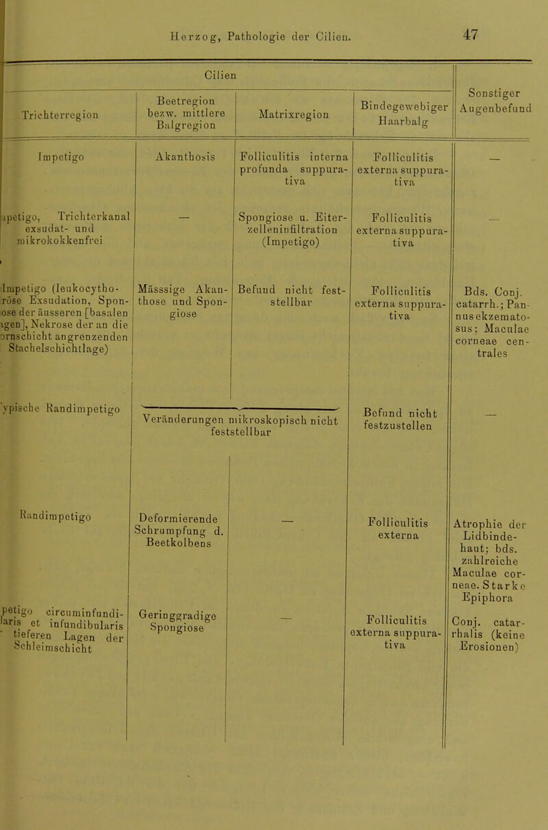 Trichterregion Cilien Beetregion bozw. mittlere Balgregion Matrixregion Bindegewebiger Haarbalg Sonstiger Augenbefund Impetigo ipetigo, Trichterkanal exsudat- und roikrokokkenfrei Impetigo (leukocytho- röse Exsudation, Spon- ose der äusseren [basaleD igen], Nekrose der an die ornschicht angrenzenden Stachelschichtlage) ypischc Randimpetigo Akanthosis Mässsige Akan- those und Spon- Folliculitis interna profunda suppura- tiva Spongiose u. Eiter- zelleninfiltration (Impetigo) Befund nicht fest- stellbar Veränderungen mikroskopisch nicht feststellbar Folliculitis externa suppura- tiva Folliculitis externa suppura- tiva Folliculitis externa suppura- tiva Handimpetigü Deformierende Sch rumpfung d. Beetkolbens petigu circuminfundi- '»«8 et infundibularis t'eferen Lagen der öchleimschicht Geringgradige Spongiose Befund nicht festzustellen Folliculitis externa Folliculitis externa suppura- tiva Bds. Conj. catarrh.; Pan- nus ekzemato- sus: Maculae corneae cen- trales Atrophie der Lidbinde- haut; bds. zahlreiche Maculae cor- neae. Starke Epiphora Conj. catar- rhalis (keine Erosionen)