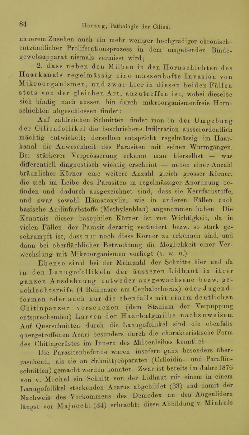 nauerem Zusehen auch ein mehr weniger hochgradiger chronisch- entzündlicher Proliferationsprozess in dem umgebenden Binde- gewebsapparat niemals vermisst wird; 2. dass neben den Milben in den Horns chichten des Haarkanals regelmässig eine massenhafte Invasion von Mikroorganismen, und zwar hierin diesen beiden Fällen stets von der gleichen Art, anzutreffen ist, wobei dieselbe sich häufig nach aussen hin durch mikroorganismenfreie Horn- schichten abgeschlossen findet: Auf zahlreichen Schnitten findet man in der Umgebung der Cilienfollikel die beschriebene Infiltration ausserordentlich mächtig entwickelt; derselben entspricht regelmässig im Haar- kanal die Anwesenheit des Parasiten mit seinen Wurmgängen. Bei stärkerer Vergrösserung erkennt man hierselbst — was differentiell diagnostisch wichtig erscheint — neben einer Anzahl bräunlicher Körner eine weitere Anzahl gleich grosser Körner, die sich im Leibe des Parasiten in regelmässiger Anordnung be- finden und dadurch ausgezeichnet sind, dass sie Kernfarbstoffe, und zwar sowohl Hämatoxylin, wie in anderen Fällen auch basische Anilinfarbstoffe (Methylenblau) angenommen haben. Die Kenntnis dieser basophilen Körner ist von Wichtigkeit, da in vielen Fällen der Parasit derartig verändert bezw. so stark ge- schrumpft ist, dass nur noch diese Körner zu erkennen sind, und dann bei oberflächlicher Betrachtung die Möglichkeit einer Ver- wechslung mit Mikroorganismen vorliegt (s. w. u.). Ebenso sind bei der Mehrzahl der Schnitte hier und da in den Lan ugof ollikein der äusseren Lidhaut in ihrer ganzen Ausdehnung entweder ausgewachsene bezw. ge- schlechtsreife (4 Beinpaare am Cephalothorax) oder Jugend- formen oder auch nur die ebenfalls mit einem deutlichen Chitinpanzer versehenen (dem Stadium der Verpuppung entsprechenden) Larven der Haarbalgmilbe nachzuweisen. Auf Querschnitten durch die Lanugofollikel sind die ebenfalls quergetroffenen Acaii besonders durch die charakteristische Form des Chitingerüstes im Innern des Milbenleibes kenntlich. Die Parasitenbefunde waren insofern ganz besonders über- raschend, als sie an Schnittpräparaten (Celloidin- und Pair affin - schnitten) gemacht werden konnten. Zwar ist bereits im Jahre 187G von v. Michel ein Schnitt von der Lidhaut mit einem in einem Lanugofollikel steckenden Acarus abgebildet (33) und damit der Nachweis des Vorkommens des Demodex an den Augenlidern längst vor Majocchi (34) erbracht; diese Abbildung v. Michels