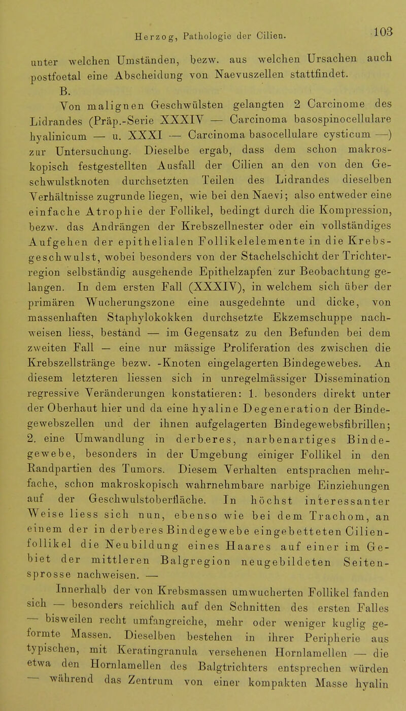 uuter welchen Umständen, bezw. aus welchen Ursachen auch postfoetal eine Abscheidung von Naevuszellen stattfindet. B. Von malignen Geschwülsten gelangten 2 Carcinome des Lidrandes (Präp.-Serie XXXIV — Carcinoma basospinocellulare hyalinicum — u. XXXI — Carcinoma basocellulare cysticum —) zur Untersuchung. Dieselbe ergab, dass dem schon makros- kopisch festgestellten Ausfall der Cilien an den von den Ge- schwulstknoten durchsetzten Teilen des Lidrancles dieselben Verhältnisse zugrunde liegen, wie bei den Naevi; also entweder eine einfache Atrophie der Follikel, bedingt durch die Kompression, bezw. das Andrängen der Krebszellnester oder ein vollständiges Aufgehen der epithelialen Follikelelemente in die Krebs- geschwulst, wobei besonders von der Stachelschicht der Trichter- region selbständig ausgehende Epithelzapfen zur Beobachtung ge- langen. In dem ersten Fall (XXXIV), in welchem sich über der primären Wucherungszone eine ausgedehnte und dicke, von massenhaften Staphylokokken durchsetzte Ekzemschuppe nach- weisen Hess, bestand — im Gegensatz zu den Befunden bei dem zweiten Fall — eine nur mässige Proliferation des zwischen die Krebszellstränge bezw. -Knoten eingelagerten Bindegewebes. An diesem letzteren Hessen sich in unregelmässiger Dissemination regressive Veränderungen konstatieren: 1. besonders direkt unter der Oberhaut hier und da eine hyaline Degeneration der Binde- gewebszellen und der ihnen aufgelagerten Bindegewebsfibrillen; 2. eine Umwandlung in derberes, narbenartiges Binde- gewebe, besonders in der Umgebung einiger Follikel in den Randpartien des Tumors. Diesem Verhalten entsprachen mehr- fache, schon makroskopisch wahrnehmbare narbige Einziehungen auf der Geschwulstoberfläche. In höchst interessanter Weise Hess sich nun, ebenso wie bei dem Trachom, an einem der in derberes Bindegewebe eingebetteten Cilien- follikel die Neubildung eines Haares auf einer im Ge- biet der mittleren Balgregion neugebildeten Seiten- sprosse nachweisen. — Innerhalb der von Krebsmassen umwucherten Follikel fanden sich — besonders reichlich auf den Schnitten des ersten Falles — bisweilen recht umfangreiche, mehr oder weniger kuglig ge- formte Massen. Dieselben bestehen in ihrer Peripherie aus typischen, mit Keratingranula versehenen Hornlamellen — die etwa den Hornlamellen des Balgtrichters entsprechen würden während das Zentrum von einer kompakten Masse hyalin