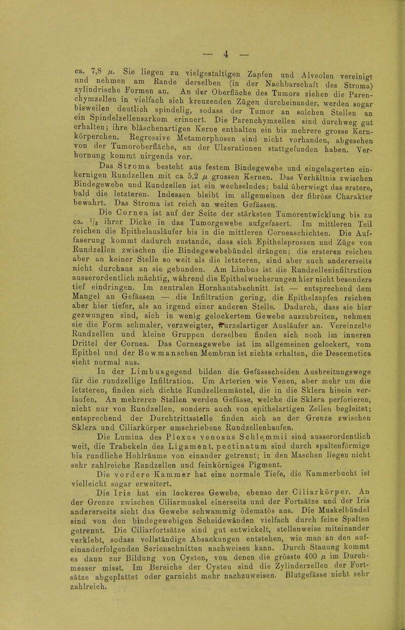 ca 7,8 u. Sie hegen zu vielgestaltigen Zapfen und Alveolen vereinigt und nehmen am Rande derselben (in der Nachbarschaft des Stroma) zylindrische Formen an. An der Oberfläche des Tumors ziehen die Paren- chymzellen m vielfach sich kreuzenden Zügen durcheinander, werden sogar bisweilen deutlich spindelig, sodass der Tumor an solchen Stellen an ein öpindelzellensarkom erinnert. Die Parenchymzellen sind durchweg gut erhalten; ihre bläschenartigen Kerne enthalten ein bis mehrere grosse Kern- korperchen. Regressive Metamorphosen sind nicht vorhanden, abgesehen von der Tumoroberfläche, an der Ulzerationen stattgefunden haben. Ver- hornung kommt nirgends vor. Das Stroma besteht aus festem Bindegewebe und eingelagerten ein- kernigen Rundzellen mit ca 5,2 ß grossen Kernen. Das Verhältnis zwischen Bindegewebe und Rundzellen ist ein wechselndes; bald überwiegt das erstere, bald die letzteren. Indessen bleibt im allgemeinen der fibröse Charakter bewahrt. Das Stroma ist reich an weiten Gefässen. Die Cornea ist auf der Seite der stärksten Tumorentwicklung bis zu ca. i/8 ihrer Dicke in das Tumorgewebe aufgefasert. Im mittleren Teil reichen die Epithelausläufer bis in die mittleren Corneaschichten. Die Auf- faserung kommt dadurch zustande, dass sich Epithelsprossen und Züge von Rundzellen zwischen die Bindegewebsbündel drängen; die ersteren reichen aber an keiner Stelle so weit als die letzteren, sind aber auch andererseits nicht durchaus an sie gebunden. Am Limbus ist die Rundzelleninfiltration ausserordentlich mächtig, während die Epithel Wucherungen hier nicht besonders tief eindringen. Im zentralen Hornhautabschnitt ist — entsprechend dem Mangel an Gefässen — die Infiltration gering, die Epithelzapfen reichen aber hier tiefer, als an irgend einer anderen Stelle. Dadurch, dass sie hier gezwungen sind, sich in wenig gelockertem Gewebe auszubreiten, nehmen sie die Form schmaler, verzweigter, -frurzelartiger Ausläufer an. Vereinzelte Rundzellen und kleine Gruppen derselben finden sich noch im inneren Drittel der Cornea. Das Corneagewebe ist im allgemeinen gelockert, vom Epithel und der Bowmanschen Membran ist nichts erhalten, die Descemetica sieht normal aus. In der Limbusgegend bilden die Gefässscheiden Ausbreitungswege für die rundzellige Infiltration. Um Arterien wie Venen, aber mehr um die letzteren, finden sich dichte Rundzellenmäntel, die in die Sklera hinein ver- laufen. An mehreren Stellen werden Gefässe, welche die Sklera perforieren, nicht nur von Rundzellen, sondern auch von epithelartigen Zellen begleitet; entsprechend der Durchtrittsstelle finden sich an der Grenze zwischen Sklera und Ciliarkörper umschriebene Rundzellenhaufen. Die Lumina des Plexus venosus Schlemmii sind ausserordentlich weit, die Trabekeln des Ligament, pectinatum sind durch spaltenförmige bis rundliche Hohlräume von einander getrennt; in den Maschen liegen nicht sehr zahlreiche Rundzellen und feinkörniges Pigment. Die vordere Kammer hat eine normale Tiefe, die Kammerbucht ist vielleicht sogar erweitert. Die Iris hat ein lockeres Gewebe, ebenso der Ciliarkörper. An der Grenze zwischen Ciliarmuskel einerseits und der Fortsätze und der Iris andererseits sieht das Gewebe schwammig ödematös aus. Die Muskelbündel sind von den bindegewebigen Scheidewänden vielfach durch feine Spalten getrennt. Die Ciliarfortsätze sind gut entwickelt, stellenweise miteinander verklebt, sodass vollständige Absackungen entstehen, wie man an den auf- einanderfolgenden Serienschnitten nachweisen kann. Durch Stauung kommt es dann zur Bildung von Cysten, von denen die grösste 400 fi im Durch- messer misst. Im Bereiche der Cysten sind die Zylinderzellen der Fort- sätze abgeplattet oder garnicht mehr nachzuweisen. Blutgefässe nicht sehr zahlreich.