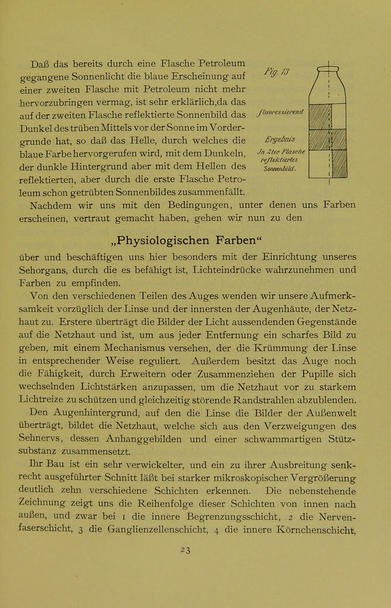 fluoi-esuepend £rffeönis Jn Ztee Flasche peflektiertes Sonnenbild. Daß das bereits durch eine Flasche Petroleum gegangene Sonnenlicht die blaue Erscheinung auf einer zweiten Flasche mit Petroleum nicht mehr hervorzubringen vermag, ist sehr erklärlich,da das auf der zweiten Flasche reflektierte Sonnenbild das Dunkel des trüben Mittels vor der Sonne im Vorder- grunde hat, so daß das Helle, durch welches die blaue Farbe hervorgerufen wird, mit dem Dunkeln, der dunkle Hintergrund aber mit dem Hellen des reflektierten, aber durch die erste Flasche Petro- leum schon getrübten Sonnenbildes zusammenfällt. Nachdem wir uns mit den Bedingungen, unter denen uns Farben erscheinen, vertraut gemacht haben, gehen wir nun zu den „Physiologischen Farben über und beschäftigen uns hier besonders mit der Einrichtung unseres Sehorgans, durch die es befähigt ist, Lichteindrücke wahrzunehmen und Farben zu empfinden. Von den verschiedenen Teilen des Auges wenden wir unsere Aufmerk- samkeit vorzüglich der Linse und der innersten der Augenhäute, der Netz- haut zu. Erstere überträgt die Bilder der Licht aussendenden Gegenstände auf die Netzhaut und ist, um aus jeder Entfernung ein scharfes Bild zu geben, mit einem Mechanismus versehen, der die Krümmung der Linse in entsprechender Weise regfuliert. Außerdem besitzt das Auge noch die Fähigkeit, durch Erweitern oder Zusammenziehen der Pupille sich wechselnden Lichtstärken anzupassen, um die Netzhaut vor zu starkem Lichtreize zu schützen und gleichzeitig störende Randstrahlen abzublenden. Den Augenhintergrund, auf den die Linse die Bilder der Außenwelt überträgt, bildet die Netzhaut, welche sich aus den Verzweigungen des Sehnervs, dessen Anhanggebilden und einer schwammartigen Stütz- substanz zusammensetzt. Ihr Bau ist ein sehr verwickelter, und ein zu ihrer Ausbreitung senk- recht ausgeführter Schnitt läßt bei starker mikroskopischer Vergrößerung deutlich zehn verschiedene Schichten erkennen. Die nebenstehende Zeichnung zeigt uns die Reihenfolge dieser Schichten von innen nach außen, und zwar bei i die innere Begrenzungsschicht, 2 die Nerven- faserschicht, 3 die Ganglienzellenschicht, 4 die innere Körnchenschicht,