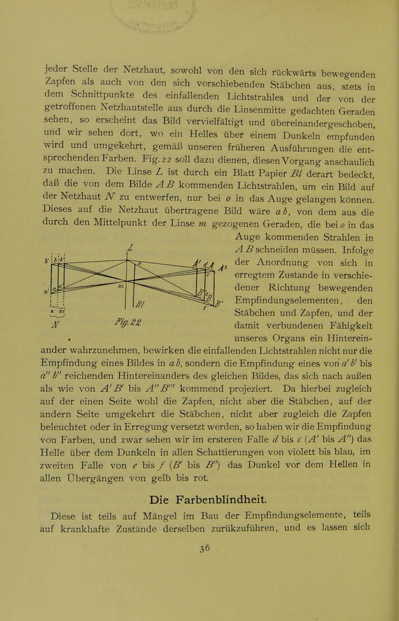 jeder Stelle der Netzhaut, sowohl von den sich rückwärts bewegenden Zapfen als auch von den sich vorschiebenden Stäbchen aus, stets in dem Schnittpunkte des einfallenden Lichtstrahles und der von der getroffenen Netzhautstelle aus durch die Linsenmitte gedachten Geraden sehen, so erscheint das Bild vervielfältigt und übereinandergeschoben, und wir sehen dort, wo ein Helles über einem Dunkeln empfunden wird und umgekehrt, gemäß unseren früheren Ausführungen die ent- sprechenden Farben. Fig. 2 2 soll dazu dienen, diesen Vorgang anschaulich zu machen. Die Linse Z ist durch ein Blatt Papier Bl derart bedeckt, daß die von dem Bilde AB kommenden Lichtstrahlen, um ein Bild auf der Netzhaut N zu entwerfen, nur bei o in das Auge gelangen können. Dieses auf die Netzhaut übertragene Bild wäre ab, von dem aus die durch den Mittelpunkt der Linse m gezogenen Geraden, die bei o in das Auge kommenden Strahlen in A B schneiden müssen. Infolge der Anordnung von sich in erregtem Zustande in verschie- dener Richtung bewegenden Empfindungselementen, den Stäbchen und Zapfen, und der damit verbundenen Fähigkeit unseres Organs ein Hinterein- ander wahrzunehmen, bewirken die einfallenden Lichtstrahlen nicht nur die Empfindung eines Bildes in ab, sondern die Empfindung eines vona'b' bis a b reichenden Hintereinanders des gleichen Bildes, das sich nach außen als wie von A'B' bis AB' kommend projeziert. Da hierbei zugleich auf der einen Seite wohl die Zapfen, nicht aber die Stäbchen, auf der andern Seite umgekehrt die Stäbchen, nicht aber zugleich die Zapfen beleuchtet oder in Erregung versetzt werden, so haben wir die Empfindung von Farben, und zwar sehen wir im ersteren Falle d bis c {A' bis A) das Helle über dem Dunkeln in allen Schattierungen von violett bis blau, im zweiten Falle von e bis / {B' bis B) das Dunkel vor dem Hellen in allen Übergängen von gelb bis rot. Die Farbenblindheit. Diese ist teils auf Mängel im Bau der Empfindungselemente, teils auf krankhafte Zustände derselben zurükzuführen, und es lassen sich