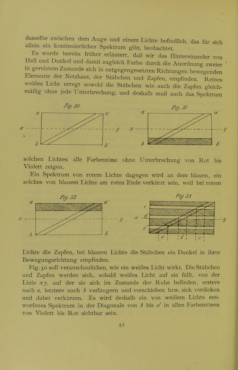 dasselbe zwischen dem Auge und einem Lichte befindlich, das für sich allem ein kontinuierhches Spektrum gibt, beobachtet. Es wurde bereits früher erläutert, daß wir das Hintereinander von Hell und Dunkel und damit zugleich Farbe durch die Anordnung zweier * m gereiztem Zustande sich in entgegengesetzten Richtungen bewegenden Elemente der Netzhaut, der Stäbchen und Zapfen, empfinden. Reines weißes Licht erregt sowohl die Stäbchen wie auch die Zapfen gleich- mäßig ohne jede Unterbrechung, und deshalb muß auch das Spektrum fiff. 3} X — solchen Lichtes alle Farbentöne ohne Unterbrechung von Rot bis Violett zeigen. Ein Spektrum von rotem Lichte dagegen wird an dem blauen, ein solches von blauem Lichte am roten Ende verkürzt sein, weil bei rotem fiff. 32 Fiff. 3 3 Lichte die Zapfen, bei blauem Lichte die Stäbchen ein Dunkel in ilarer Bewegungsrichtung empfinden. Fig. 30 soU veranschaulichen, wie ein weißes Licht wirkt. Die Stäbchen und Zapfen werden sich, sobald weißes Licht auf sie fällt, von der Linie xy, auf der sie sich im Zustande der Ruhe befinden, erstere nach a, letztere nach h verlängern und vorschieben bzw. sich verdicken und dabei verkürzen. Es wird deshalb ein von weißem Lichte ent- worfenes Spektrum in der Diagonale von b bis a! in allen Farbentönen von Violett bis Rot sichtbar sein.