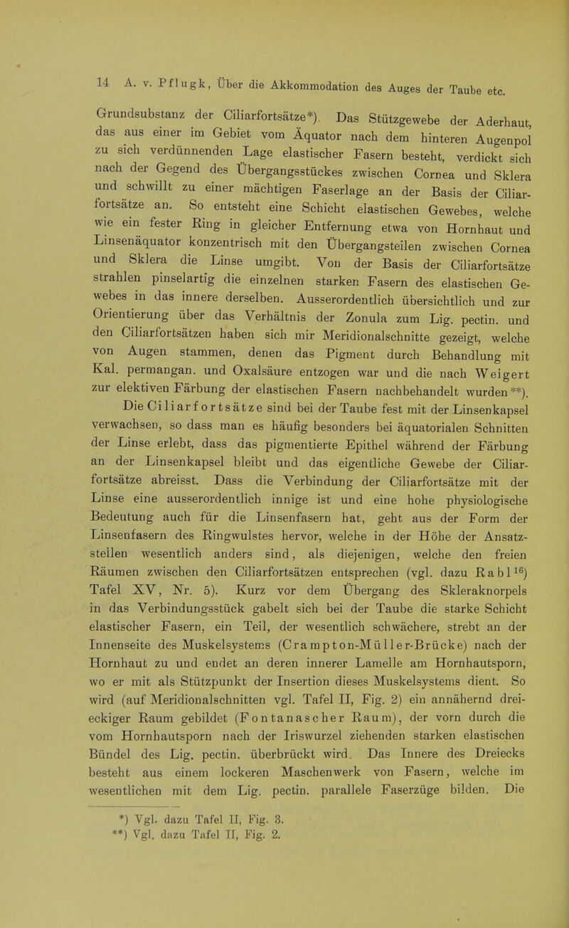 Grundsubstanz der Clliarfortsätze*) Das Stützgewebe der Aderhaut, das aus einer im Gebiet vom Äquator nach dem hinteren Augenpol zu sich verdünnenden Lage elastischer Fasern besteht, verdickt sich nach der Gegend des Übergangsstückes zwischen Cornea und Sklera und schwillt zu einer mächtigen Faserlage an der Basis der Ciliar- fortsätze an. So entsteht eine Schicht elastischen Gewebes, welche wie ein fester Eing in gleicher Entfernung etwa von Hornhaut und Linsenäquator konzentrisch mit den Übergangsteilen zwischen Cornea und Sklera die Linse umgibt. Von der Basis der Ciliarfortsätze strahlen pinselartig die einzelnen starken Fasern des elastischen Ge- webes in das innere derselben. Ausserordentlich übersichtlich und zur Orientierung über das Verhältnis der Zonula zum Lig. pectin. und den Ciliarfortsätzen haben sich mir Meridionalschnitte gezeigt, welche von Augen stammen, denen das Pigment durch Behandlung mit Kai. permangan. und Oxalsäure entzogen war und die nach Weigert zur elektiven Färbung der elastischen Fasern nachbehandelt wurden **). Die Ciliarfortsätze sind bei der Taube fest mit der Linsenkapsel verwachsen, so dass man es häufig besonders bei äquatorialen Schnitten der Linse erlebt, dass das pigmentierte Epithel während der Färbung an der Linsenkapsel bleibt und das eigentliche Gewebe der Ciliar- fortsätze abreisst. Dass die Verbindung der Ciliarfortsätze mit der Linse eine ausserordentlich innige ist und eine hohe physiologische Bedeutung auch für die Linsenfasern hat, geht aus der Form der Linsenfasern des Ringwulstes hervor, welche in der Höhe der Ansatz- stellen wesentlich anders sind, als diejenigen, welche den freien Räumen zwischen den Ciliarfortsätzen entsprechen (vgl. dazu RabP^) Tafel XV, Nr. 5). Kurz vor dem Übergang des Skleraknorpels in das Verbindungsstück gabelt sich bei der Taube die starke Schicht elastischer Fasern, ein Teil, der wesentlich schwächere, strebt an der Innenseite des Muskelsystems (Crampton-Müller-Brücke) nach der Hornhaut zu und endet an deren innerer Lamelle am Hornhautsporn, wo er mit als Stützpunkt der Insertion dieses Muskelsystems dient. So wird (auf Meridionalschnitten vgl. Tafel II, Fig. 2) ein annähernd drei- eckiger Raum gebildet (Fontanascher Raum), der vorn durch die vom Hornhautsporn nach der Iriswurzel ziehenden starken elastischen Bündel des Lig. pectin. überbrückt wird. Das Innere des Dreiecks besteht aus einem lockeren Maschenwerk von Fasern, welche im wesentlichen mit dem Lig. pectin. parallele Faserzüge bilden. Die *) Vgl. dazu Tafel II, Fig. S. **) Vgl. dazu Tafel II, Fig. 2.