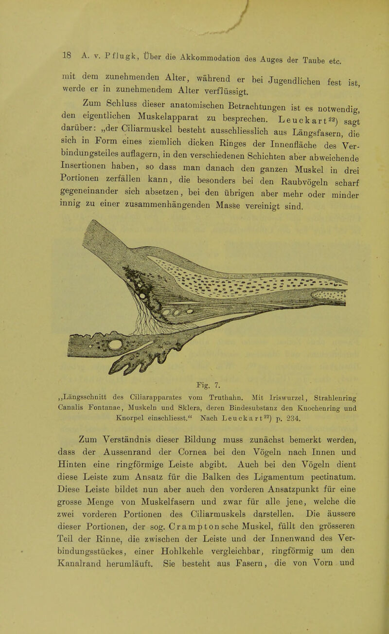 J 18 A. V. Pflugk, Über die Akkommodation des Auges der Taube etc. mit dem zunehmenden Alter, während er hei Jugendlichen fest ist werde er in zunehmendem Alter verflüssigt. ' Zum Schluss dieser anatomischen Betrachtungen ist es notwendig den eigentlichen Muskelapparat zu besprechen. Leuckart) sagt darüber: „der Ciliarmuskel besteht ausschliesslich aus Längsfasern, die sich in Form eines ziemlich dicken Ringes der Innenfläche des Ver- bindungsteiles auflagern, in den verschiedenen Schichten aber abweichende Insertionen haben, so dass man danach den ganzen Muskel in drei Portionen Zerfällen kann, die besonders bei den Raubvögeln scharf gegeneinander sich absetzen, bei den übrigen aber mehr oder minder mnig zu einer zusammenhängenden Masse vereinigt sind. Fig. 7. ,,Längsschnitt des Ciliarapparates vom Trutliahn. Mit Iriswurzel, Strahlenring Canalis Fontanae, Muskeln und Sklera, deren Bindesubstanz den Kuochenring und Knorpel einschliesst. Nach Leuckart-^) p. 234. Zum Verständnis dieser Bildung muss zunächst bemerkt werden, dass der Aussenrand der Cornea bei den Vögeln nach Innen und Hinten eine ringförmige Leiste abgibt. Auch bei den Vögeln dient diese Leiste zum Ansatz für die Balken des Ligamentum pectiuatum. Diese Leiste bildet nun aber auch den vorderen Ansatzpunkt für eine grosse Menge von Muskelfasern und zwar für alle jene, welche die zwei vorderen Portionen des Ciliarmuskels darstellen. Die äussere dieser Portionen, der sog. Cr am p ton sehe Muskel, füllt den grösseren Teil der Rinne, die zwischen der Leiste und der Innenwand des Ver- bindungsstückes, einer Hohlkehle vergleichbar, ringförmig um den Kanalrand herumläuft. Sie besteht aus Fasern, die von Vorn und