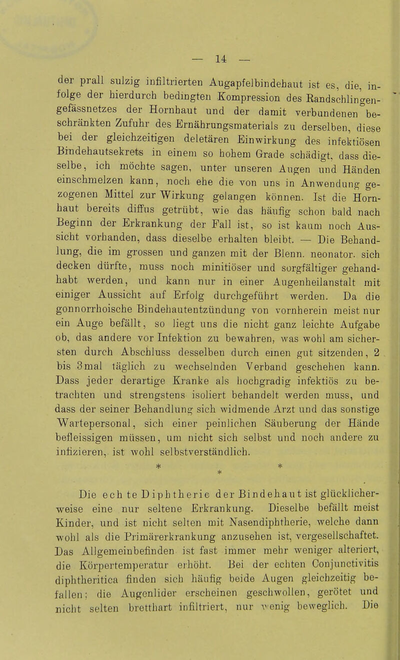 der prall suizig infiltrierten Augapfelbindehaut ist es, die. in- folge der hierdurch bedingten Kompression des Kandschlingen- gefässnetzes der Hornhaut und der damit verbundenen be- schränkten Zufuhr des Ernährungsmaterials zu derselben, diese bei der gleichzeitigen deletären Einwirkung des infektiösen Bindehautsekrets in einem so hohem Grade schädigt, dass die- selbe, ich möchte sagen, unter unseren Augen und Händen einschmelzen kann, noch ehe die von uns in Anwendung ge- zogenen Mittel zur Wirkung gelangen können. Ist die Horn- haut bereits diffus getrübt, wie das häufig schon bald nach Beginn der Erkrankung der Fall ist, so ist kaum noch Aus- sicht vorhanden, dass dieselbe erhalten bleibt. — Die Behand- lung, die im grossen und ganzen mit der Blenn. neonater, sich decken dürfte, muss noch minitiöser und sorgfältiger gehand- liabt werden, und kann nur in einer Augenheilanstalt mit einiger Aussicht auf Erfolg durchgeführt werden. Da die gonnorrhoische Bindehautentzündung von vornherein meist nur ein Auge befällt, so liegt uns die nicht ganz leichte Aufgabe ob, das andere vor Infektion zu bewahren, was wohl am sicher- sten durch Abschluss desselben durch einen gut sitzenden, 2 bis 3mal täglich zu wechselnden Verband geschehen kann. Dass jeder derartige Kranke als hochgradig infektiös zu be- trachten und strengstens isoliert behandelt werden muss, und dass der seiner Behandlung sich widmende Arzt und das sonstige Wartepersonal, sich einer peinlichen Säuberung der Hände befleissigen müssen, um nicht sich selbst und noch andere zu infizieren, ist wohl selbstverständlich. * * * Die ech te Diphtherie der Bindehaut ist glücklicher- weise eine nur seltene Erkrankung. Dieselbe befällt meist Kinder, und ist nicht selten mit Nasendiphtherie, welche dann wohl als die Primärerkrankung anzusehen ist, vergesellschaftet. Das Allgemeinbefinden ist fast immer mehr weniger alteriert, die Körpertemperatur eihöht. Bei der echten Conjunctivitis diphtheritica finden sich häufig beide Augen gleichzeitig be- fallen; die Augenlider erscheinen geschwollen, gerötet und nicht selten bretthart infiltriert, nur venig beweglich. Die