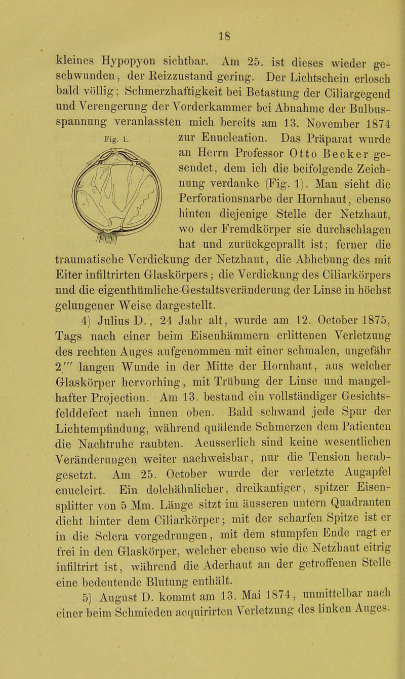 kleines Hypopyon sichtl)ar. Am 25. ist dieses wieder ge- schwunden , der Reizzustand gering. Der Lichtschein erlosch bald völlig; Schmerzhaftigkeit bei Betastung der Ciliargegend und Verengerung der Vorderkamnier bei Abnahme der Bulbus- spannung veranlassten mich bereits am 13. November 1874 Fig. 1. zur Enucleatiou. Das Präparat wurde an Herrn Professor Otto Becker ge- sendet , dem ich die beifolgende Zeich- nung verdanke (Fig. 1). Man sieht die Perforationsnarbe der Hornhaut, ebenso hinten diejenige Stelle der Netzhaut, wo der Fremdkörper sie durchschlagen hat und zurückgeprallt ist; ferner die traumatische Verdickung der Netzhaut, die Abhebung des mit Eiter infiltrirten Glaskörpers; die Verdickung des Ciliarkörpers und die eigenthümliche Gestaltsveränderung der Linse in höchst gelungener Weise dargestellt. 4) Julius D., 24 Jahr alt, wurde am 12. October 1875, Tags nach einer beim Eisenhämmern erlittenen Verletzung des rechten Auges aufgenommen mit einer schmalen, ungefähr 2' langen Wunde in der Mitte der Hornhaut, aus welcher Glaskörper hervorhing, mit Trübung der Linse und mangel- hafter Projection. Am 13. bestand ein vollständiger Gesichts- felddefect nach innen oben. Bald schwand jede Spur der Lichtempfindung, während quälende Schmerzen dem Patienten die Nachtruhe raubten. Aeusserlich sind keine wesentlichen Veränderungen weiter nachweisbar, nur die Tension herab- gesetzt. Am 25. October wurde der verletzte Augapfel enucleirt. Ein dolchähnlicher, dreikantiger, spitzer Eisen- splitter von 5 Mm. Länge sitzt im äusseren untern Quadranten dicht hinter dem Ciliarkörper; mit der scharfen Spitze ist er | in die Sclera vorgedrungen, mit dem stumpfen Ende ragt er frei in den Glaskörper, welcher ebenso wie die Netzhaut eitrig infiltrirt ist, während die Aderhaut an der getroffenen Stelle eine bedeutende Blutung enthält. 5) August D. kommt am 13. Mai 1874, unmittelbar nach einer beim Schmieden acquirirtcn Verletzung des linken Auges.