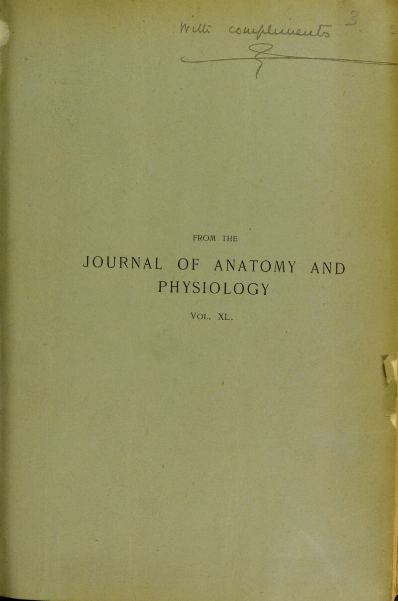 c FROM THE JOURNAL OF ANATOMY AND PHYSIOLOGY VOL. XL.