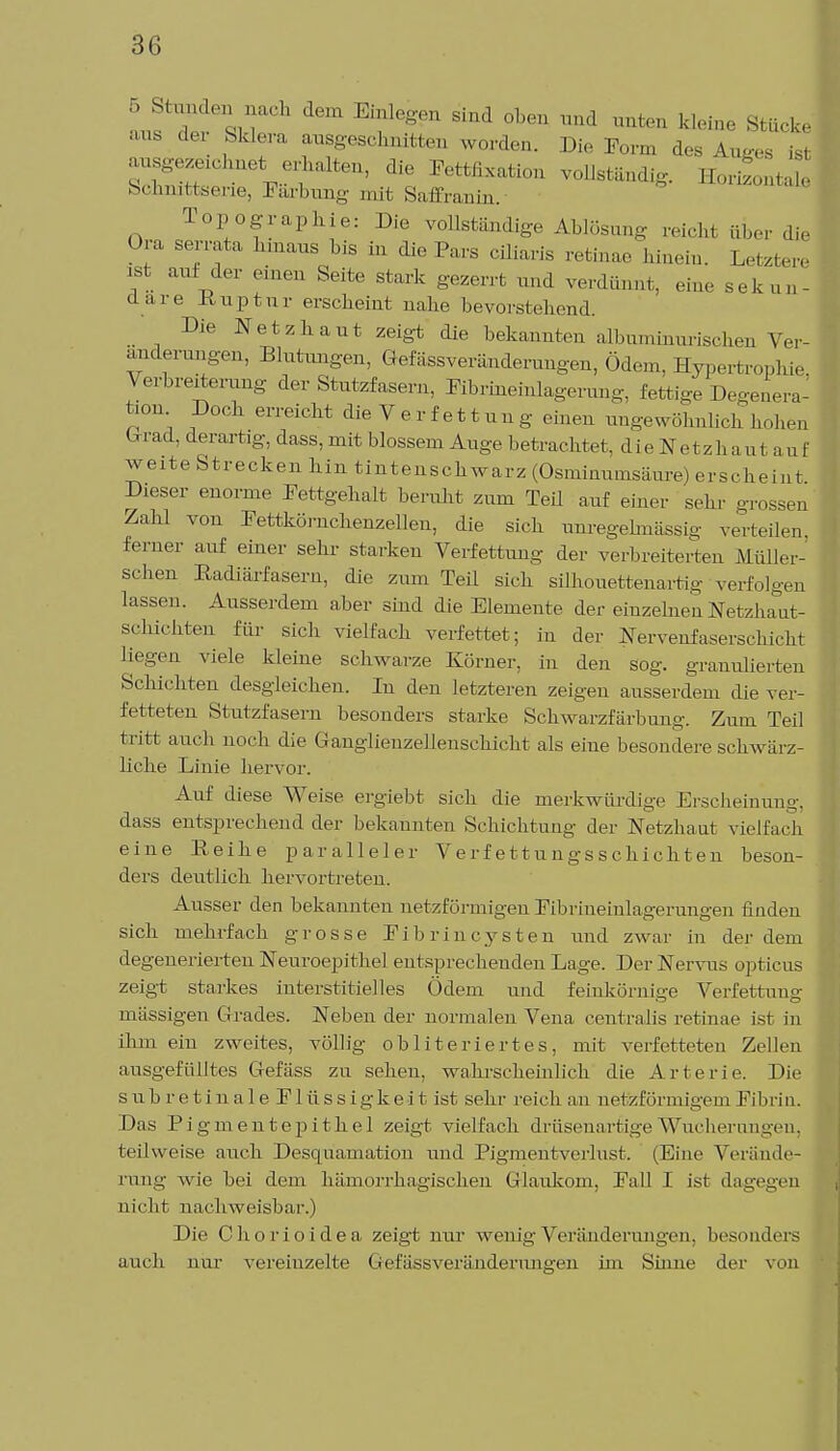 dem Ei:^n si'1 oben mid unt(,n kii-s«'^' aus dei Sklera ausgeschnitten worden. Die Form des bKeS ist ausgezeichnet erhalten, die Fettfixation vollständig. EoriLtale Schnittserie, Färbung mit Saffranin. Topographie: Die vollständige Ablösung reich! über die Ora serrata hinaus bis üi die Pars cüiaris retinae hinein. Letztere ist auf der einen Seite stark gezerrt nnd verdünnt, eine sekun- däre 1-tuptnr erscheint nahe bevorstehend. Die Netzhaut zeigt die bekannten albuminuiischen Ver- änderungen, Blutungen, Gefässveranderungen, (»den,. Bypertrophie Verbreiterung der Stutzfasern, Fibrineinlagerung, fettige Degenera- tion Doch erreicht die Verfettung einen ungewöhnlich hohen (xrad, derartig, dass, mit blossem Auge betrachtet, die Netzha u t a „ f weite Strecken nin tintenschwarz (Osminumsäure I ers cheint Dieser enorme Fettgehalt beruht zum Teil auf einer sehr grossen Zahl von Fettkörnchenzellen, die sich um-egelmässig verteilen ferner auf einer sehr starken Verfettung der verbreiterten Müller- schen ßadiärfasern, die zum Teil sich silhouettenartig verfolgen lassen. Ausserdem aber sind die Elemente der einzelnen Netzhaut- schichten für sich vielfach verfettet; in der Nervenfaserschieht liegen viele kleine schwarze Körner, in den sog. granulierten Schichten desgleichen. In den letzteren zeigeu ausserdem die ver- fetteten Stutzfasern besonders starke Schwarzfärbuug. Zum Teil tritt auch noch die Gauglieuzellenschicht als eine besondere schwärz- liche Linie hervor. Auf diese Weise ergiebt sich die merkwürdige Erscheinung, dass entsprechend der bekannten Schichtung der Netzhaut vielfach eine Reihe paralleler Verfettungsschichten beson- ders deutlich hervortreten. Ausser den bekannten netzförmigen Fibriueinlagerungen finden sich mehrfach grosse Fibrincysten und zwar in der dem degenerierten Neuroepithel entsprechenden Lage. Der Nervus opticus zeigt starkes interstitielles Ödem und feinkörnige Verfettung massigen Grades. Neben der normalen Vena centralis retinae ist in ihm ein zweites, völlig obliteriertes, mit verfetteten Zellen ausgefülltes Gefäss zu seilen, wahrscheinlich die Arterie. Die subretinale Flüssigkeit ist sehr reich an netzförmigem Fibrin. Das Pigm.entepith.el zeigt vielfach drüsenartige Wucherungen, teilweise auch Desquamation und Pigmentverlust. (Eine Verände- rung wie bei dem hämorrhagischen Glaukom, Fall I ist dagegen nicht nachweisbar.) Die Chorioidea zeigt nur wenig Veränderungen, besonders auch nur vereinzelte Gefässveränderungen im Sinne der von