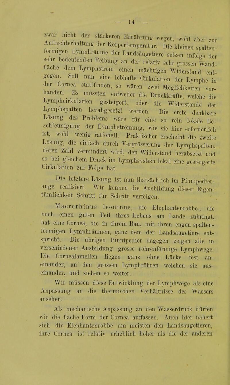 «rar nicht der stärkeren Ernährung wegen, wohl aber zur Aufrechterhältung der Körpertemperatur. Die kleinen spalten- formigen Lymphräume der Landsäugetiere setzen infolge der sehr bedeutenden Reibung an der relativ sehr grossen Wand- flache dem Lymphstrom einen mächtigen Widerstand ent- gegen Soll nun eine lebhafte Cirkulation der Lymphe in der Cornea stattfinden, so wären zwei Möglichkeiten vor- handen. Es müssten entweder die Druckkräfte, welche die Lymphcirkulation gesteigert, oder- die Widerstände der Lymphspalten herabgesetzt werden. Die erste denkbare Losung des Problems wäre für eine so rein lokale Be- schleunigung der Lymphströmung, wie sie hier erforderlich ist, wohl wenig rationell. Praktischer erscheint die zweite Lösung, die einfach durch Vergrösserung der Lymphspalten, deren Zahl vermindert wird, den Widerstand herabsetzt und so bei gleichem Druck im Lymphsystem lokal eine gesteigerte Cirkulation zur Folge hat. Die letztere Lösung ist nun thatsächlich im Pinnipedier- auge realisiert. Wir können die Ausbildung dieser Eigen- tümlichkeit Schritt für Schritt verfolgen. Macrorhinus leoninus, die Elephantenrobbe, die noch einen guten Teil ihres Lebens am Lande zubringt, hat eine Cornea, die in ihrem Bau, mit ihren engen spalten- förmigen Lymphräumen, ganz dem der Landsäugetiere ent- spricht. Die übrigen Pinnipedier dagegen zeigen alle in verschiedener Ausbildung grosse röhrenförmige Lymphwege. Die Cornealamellen liegen ganz ohne Lücke fest an- einander, an den grossen Lymphröhren weichen sie aus- einander, und ziehen so weiter. Wir müssen diese Entwicklung der Lymphwege als eine Anpassung an die thermischen Verhältnisse des Wassers ansehen. Als mechanische Anpassung an den Wasserdruck dürfen wir die flache Form der Cornea auffassen. Auch hier nähert sich die Elephantenrobbe am meisten den Landsäugetieren, ihre Cornea ist relativ erheblich höher als die der anderen