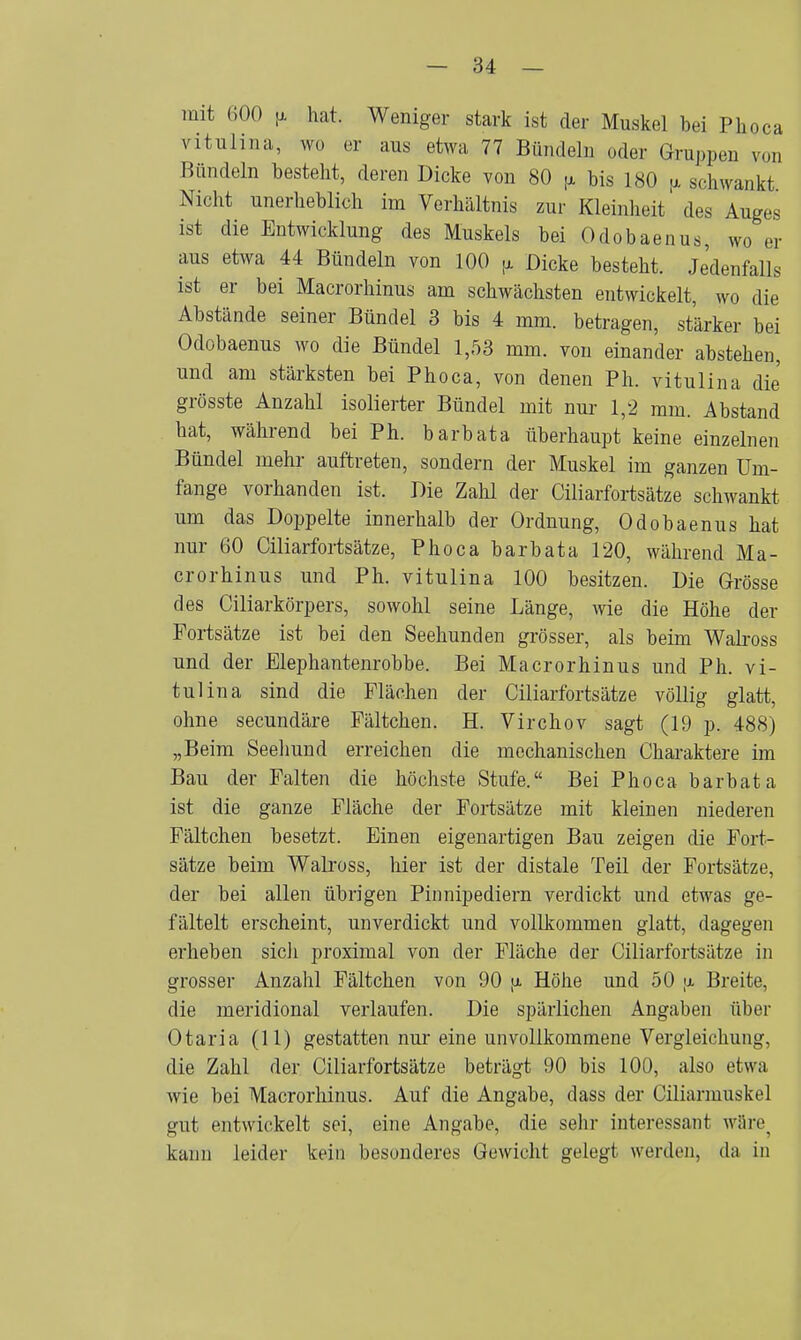 mit 600 fi hat. Weniger stark ist der Muskel bei Phoca vitulina, wo er aus etwa 77 Bündeln oder Gruppen von Bündeln besteht, deren Dicke von 80 [x bis 180 jx schwankt Nicht unerheblich im Verhältnis zur Kleinheit des Auges ist die Entwicklung des Muskels bei Odobaenus, wo er aus etwa 44 Bündeln von 100 p Dicke besteht. Jedenfalls ist er bei Macrorhinus am schwächsten entwickelt, wo die Abstände seiner Bündel 3 bis 4 mm. betragen, stärker bei Odobaenus wo die Bündel 1,53 mm. von einander abstehen, und am stärksten bei Phoca, von denen Ph. vitulina die grösste Anzahl isolierter Bündel mit nur 1,2 mm. Abstand hat, während bei Ph. barbata überhaupt keine einzelnen Bündel mehr auftreten, sondern der Muskel im ganzen Um- fange vorhanden ist. Die Zalü der Ciliarfortsätze schwankt um das Doppelte innerhalb der Ordnung, Odobaenus hat nur 60 Ciliarfortsätze, Phoca barbata 120, während Ma- crorhinus und Ph. vitulina 100 besitzen. Die Grösse des Ciliarkörpers, sowohl seine Länge, wie die Höhe der Portsätze ist bei den Seehunden grösser, als beim Walross und der Elephantenrobbe. Bei Macrorhinus und Ph. vi- tulina sind die Flächen der Ciliarfortsätze völlig glatt, ohne secundäre Fältchen. H. Virchov sagt (19 p. 488) „Beim Seehund erreichen die mechanischen Charaktere im Bau der Falten die höchste Stufe. Bei Phoca barbata ist die ganze Fläche der Fortsätze mit kleinen niederen Fältchen besetzt. Einen eigenartigen Bau zeigen die Fort- sätze beim Walross, hier ist der distale Teil der Fortsätze, der bei allen übrigen Pinnipediern verdickt und etwas ge- fältelt erscheint, unverdickt und vollkommen glatt, dagegen erheben sicli proximal von der Fläche der Ciliarfortsätze in grosser Anzahl Fältchen von 90 \l Höhe und 50 \j. Breite, die meridional verlaufen. Die spärlichen Angaben über Otaria (11) gestatten nur eine unvollkommene Vergleichung, die Zahl der Ciliarfortsätze beträgt 90 bis 100, also etwa wie bei Macrorhinus. Auf die Angabe, dass der Ciliarmuskel gut entwickelt sei, eine Angabe, die sehr interessant wäre^ kann leider kein besonderes Gewicht gelegt werden, da in