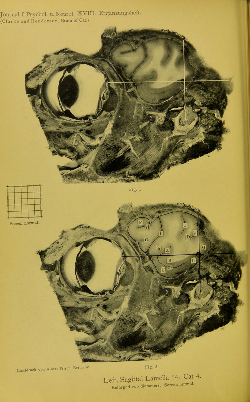 (Clarke and Renders on. Brain of Cat.) Lichtdruck von Albert Frisch, Berlin W. Fig. 2 Left. Sagittal Lamella 14. Cat 4.