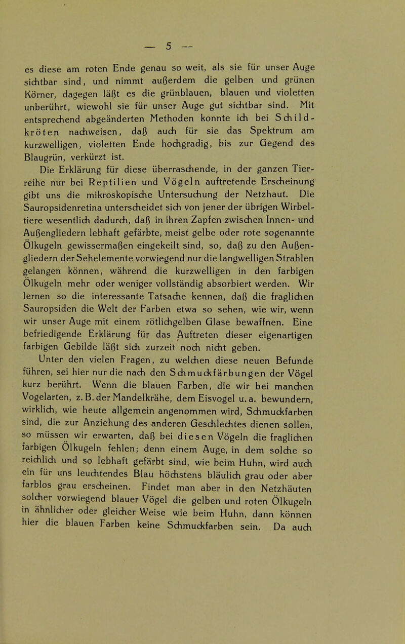 es diese am roten Ende genau so weit, als sie für unser Auge sichtbar sind, und nimmt außerdem die gelben und grünen Körner, dagegen läßt es die grünblauen, blauen und violetten unberührt, wiewohl sie für unser Auge gut sichtbar sind. Mit entsprechend abgeänderten Methoden konnte ich bei Schild- kröten nachweisen, daß auch für sie das Spektrum am kurzwelligen, violetten Ende hochgradig, bis zur Gegend des Blaugrün, verkürzt ist. Die Erklärung für diese überraschende, in der ganzen Tier- reihe nur bei Reptilien und Vögeln auftretende Erscheinung gibt uns die mikroskopische Untersuchung der Netzhaut. Die Sauropsidenretina unterscheidet sich von jener der übrigen Wirbel- tiere wesentlich dadurch, daß in ihren Zapfen zwischen Innen- und Außengliedern lebhaft gefärbte, meist gelbe oder rote sogenannte Olkugeln gewissermaßen eingekeilt sind, so, daß zu den Außen- gliedern der Sehelemente vorwiegend nur die langwelligen Strahlen gelangen können, während die kurzwelligen in den farbigen Olkugeln mehr oder weniger vollständig absorbiert werden. Wir lernen so die interessante Tatsache kennen, daß die fraglichen Sauropsiden die Welt der Farben etwa so sehen, wie wir, wenn wir unser Auge mit einem rötlichgelben Glase bewaffnen. Eine befriedigende Erklärung für das Auftreten dieser eigenartigen farbigen Gebilde läßt sich zurzeit noch nicht geben. Unter den vielen Fragen, zu welchen diese neuen Befunde führen, sei hier nur die nach den Schmuckfärbungen der Vögel kurz berührt. Wenn die blauen Farben, die wir bei manchen Vogelarten, z. B. der Mandelkrähe, dem Eisvogel u.a. bewundern, wirklich, wie heute allgemein angenommen wird, Schmuckfarben sind, die zur Anziehung des anderen Geschlechtes dienen sollen, so müssen wir erwarten, daß bei diesen Vögeln die fraglichen farbigen Olkugeln fehlen; denn einem Auge, in dem solche so reichlich und so lebhaft gefärbt sind, wie beim Huhn, wird auch ein für uns leuchtendes Blau höchstens bläulich grau oder aber farblos grau erscheinen. Findet man aber in den Netzhäuten solcher vorwiegend blauer Vögel die gelben und roten Olkugeln in ähnlicher oder gleicher Weise wie beim Huhn, dann können hier die blauen Farben keine Schmuckfarben sein. Da auch