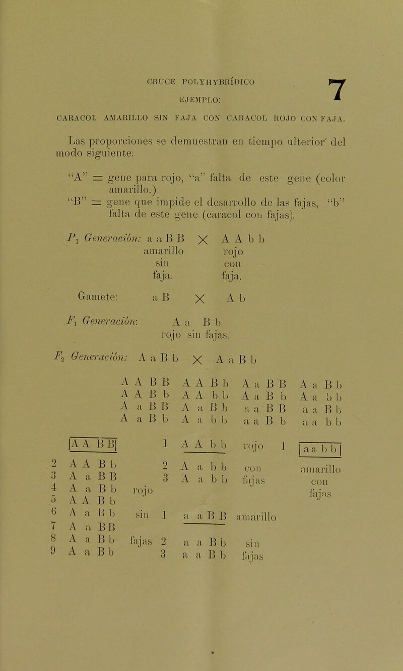 c-ruce polyhybridicü 1j;jemplo: caracol amarillo sin faja con caracol rojo con faja, 7 Las proporciones se derauestran en tiempo ulterior del modo siguiente: A =: gene para rojo, a falta de este gene (color amarillo.) '^B = gene que impide el desarrollo de las fajas, b falta de este gene (caracol coii fajas). Generación: aaBB X AAbb Gamete: i^i Generación: amarillo sin faja. a B rojo con faja. X A b A a B b rojo sin fajas. Generación: A a B b X A a B b AABB A A B b AaBB A a B b A A B b AAbb A a B b A a b b AaBB A a B b a a B B a a B b A a B b A a b b a a B b a a b b 2 3 4 5 6 7 8 9 |AA BB| A A B l) A a B B A a B b A A B b A a I? 1) A a BB A a B b A a Bb 1 A A b b rojo 1 2 A a b b con 3 A a b b fajas i-ojü sin 1 a a B B amarillo fajas 2 a a B b sin 3 a a B b fajafs a a l) h amarillo con fajas