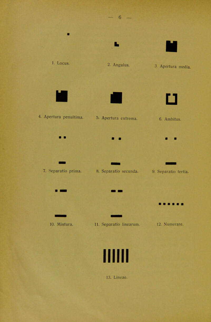 1. Locus. 2- Angulus. 3. Apertura média. U 4. Apertura penultima. 5. Apertura extrema. 6. Ambitus. 7. Separatio prima. 8. Separatio secunda. 9. Separatio tertia. 10. Mistura. 11. Separatio linearum. 12. Numerare. 13. Lineae.