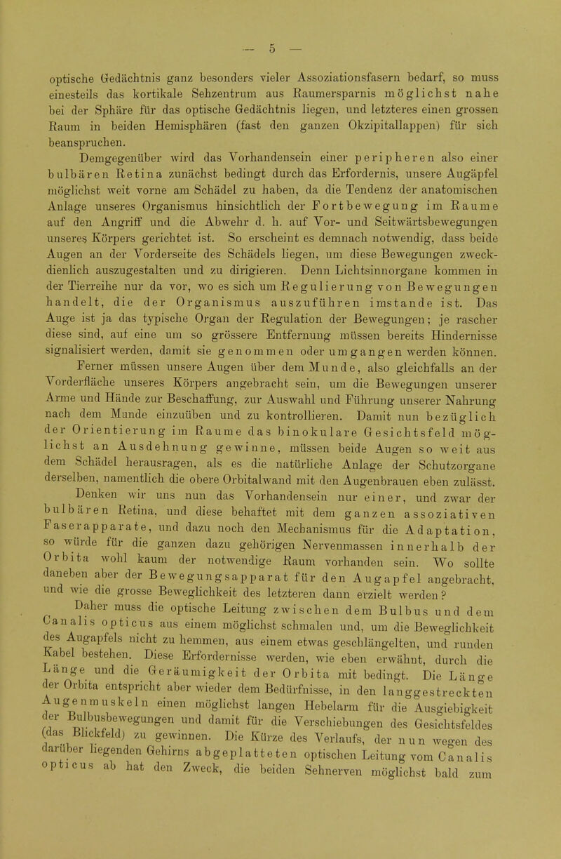 optische (jedächtnis ganz besonders vieler Assoziationsfasern bedarf, so muss einesteils das kortikale Sehzentrum aus Raumersparnis möglichst nahe bei der Sphäre für das optische Gedächtnis liegen, und letzteres einen grossen Raum in beiden Hemisphären (fast den ganzen Okzipitallappen) für sich beanspruchen. Demgegenüber Avird das Vorhandensein einer peripheren also einer bulbären Retina zunächst bedingt durch das Erfordernis, unsere Augäpfel möglichst weit vorne am Schädel zu haben, da die Tendenz der anatomischen Anlage unseres Organismus hinsichtlich der Fortbev^egung im Räume auf den Angriff und die Abwehr d. h. auf Vor- und Seitwärtsbewegungen unseres Körpers gerichtet ist. So erscheint es demnach notwendig, dass beide Augen an der Vorderseite des Schädels liegen, um diese Bewegungen zweck- dienlich auszugestalten und zu dirigieren. Denn Lichtsinnorgane kommen in der Tierreihe nur da vor, wo es sich um Regulierung von Bewegungen handelt, die der Organismus auszuführen imstande ist. Das Auge ist ja das typische Organ der Regulation der Bewegungen; je rascher diese sind, auf eine um so grössere Entfernung müssen bereits Hindernisse signalisiert werden, damit sie genommen oder um gangen werden können. Ferner müssen unsere Augen über dem Munde, also gleichfalls ander Vorderfläche unseres Körpers angebracht sein, um die Bewegungen unserer Arme und Hände zur Beschaffung, zur Auswahl und Führung unserer Nahrung nach dem Munde einzuüben und zu kontrollieren. Damit nun bezüglich der Orientierung im Räume das binokulare Gesichtsfeld mög- lichst an Ausdehnung gewinne, müssen beide Augen so weit aus dem Schädel herausragen, als es die natürliche Anlage der Schutzorgane derselben, namentlich die obere Orbitalwand mit den Augenbrauen eben zulässt. Denken wir uns nun das Vorhandensein nur einer, und zwar der bulbären Retina, und diese behaftet mit dem ganzen assoziativen Faserapparate, und dazu noch den Mechanismus für die Adaptation, so würde für die ganzen dazu gehörigen Nervenmassen innerhalb der Orbita wohl kaum der notwendige Raum vorhanden sein. Wo sollte daneben aber der Bewegungsapparat für den Augapfel angebracht, und wie die grosse Beweglichkeit des letzteren dann erzielt werden ? Daher muss die optische Leitung zwischen dem Bulbus und dem Canalis opticus aus einem möglichst schmalen und, um die Beweglichkeit des Augapfels nicht zu hemmen, aus einem etwas geschlängelten, und runden Kabel bestehen. Diese Erfordernisse werden, wie eben erwähnt, durch die Lange und die Geräumigkeit der Orbita mit bedingt. Die Läncre der Orbita entspricht aber wieder dem Bedürfnisse, in den langgestreckten Augenmuskeln einen möglichst langen Hebelarm für die Ausgiebigkeit der Bulbusbewegungen und damit für die Verschiebungen des Gesichtsfeldes (das Bhckfeld) zu gewinnen. Die Kürze des Verlaufs, der nun wegen des darüber liegenden Gehirns abgeplatteten optischen Leitung vom Canalio opticus ab hat den Zweck, die beiden Sehnerven möglichst bald zum s