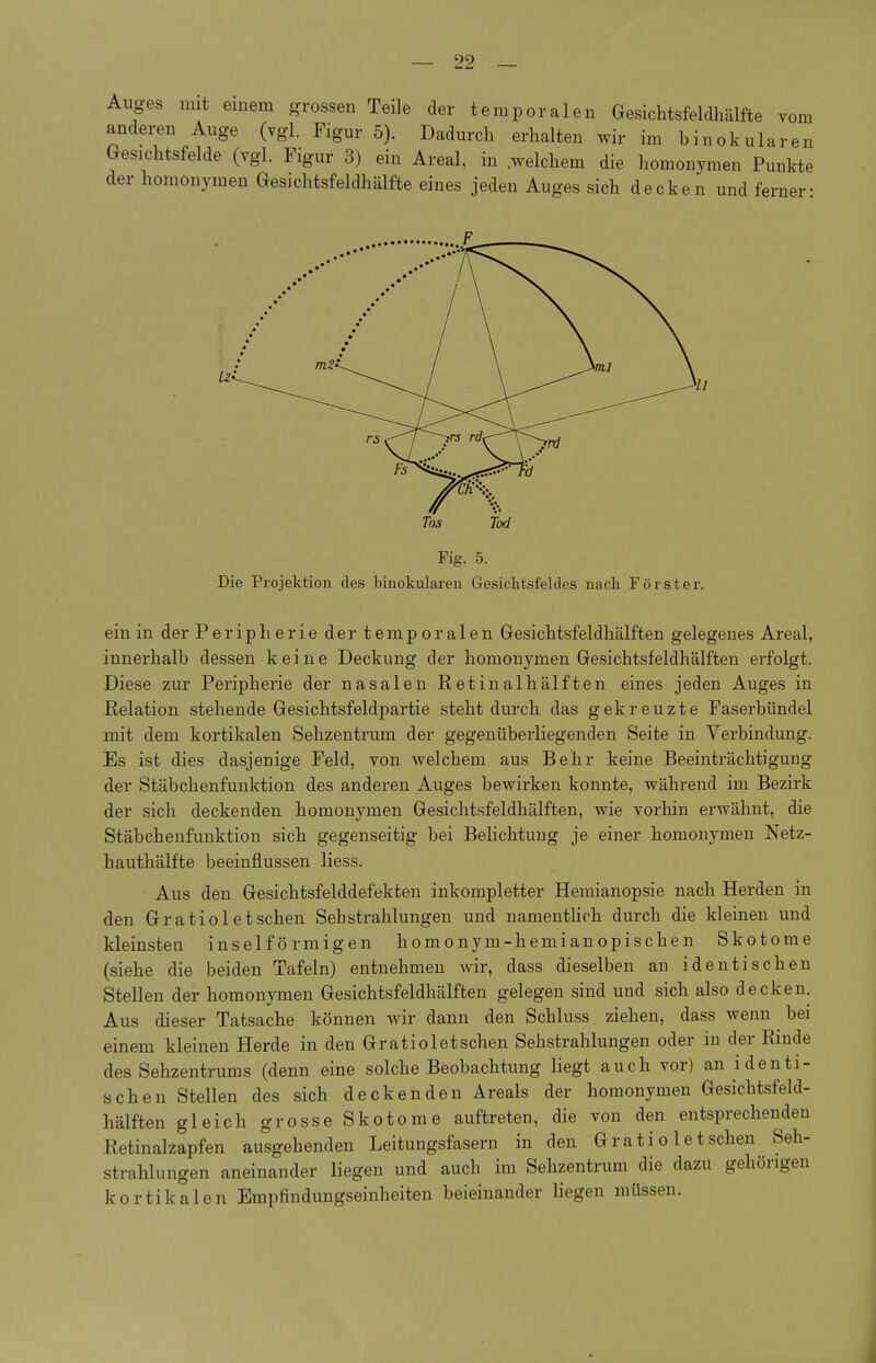 Auges mit einem grossen Teile der temporalen Gesichtsfeldhälfte vom anderen Auge (vgl. Figur 5). Dadurch erhalten wir im binokularen Gesichtsfelde (vgl. Figur 3) ein Areal, in .welchem die homonymen Punkte der homonymen Gesichtsfeldhälfte eines jeden Auges sich decken und ferner- Fig. 5. Die Projektion des binokularen Gesichtsfeldes nack Förster. ein in der Peripherie der temporalen Gesichtsfeldhälften gelegenes Areal, innerhalb dessen keine Deckung der homonymen Gesichtsfeldhälften erfolgt. Diese zur Peripherie der nasalen Retinalhälften eines jeden Auges in Relation stehende Gesichtsfeldpartie steht durch das gekreuzte Faserbündel mit dem kortikalen Sehzentrum der gegenüberliegenden Seite in Verbindung. Es ist dies dasjenige Feld, von welchem aus Behr keine Beeinträchtigung der Stäbchenfunktion des anderen Auges bewirken konnte, während im Bezirk der sich deckenden homonymen Gesichtsfeldhälften, wie vorhin erwähnt, die Stäbchenfunktion sich gegenseitig bei Belichtung je einer homonymen Netz- hauthälfte beeinflussen liess. Aus den Gesichtsfelddefekten inkompletter Hemianopsie nach Herden in den Gratioletschen SebStrahlungen und namentlich durch die kleinen und kleinsten inselförmigen homonym-hemianopischen Skotome (siehe die beiden Tafeln) entnehmen wir, dass dieselben an identischen Stellen der homonymen Gesichtsfeldhälften gelegen sind und sich also decken. Aus dieser Tatsache können wir dann den Schluss ziehen, dass wenn bei einem kleinen Herde in den Gratioletschen Sehstrahlungen oder in der Rinde des Sehzentrums (denn eine solche Beobachtung liegt auch vor) an identi- schen Stellen des sich deckenden Areals der homonymen Gesichtsfeld- hälften gleich grosse Skotome auftreten, die von den entsprechenden Retinalzapfen ausgehenden Leitungsfasern in den Gratioletschen Seh- strahlungen aneinander liegen und auch im Sehzentrum die dazu gehörigen kortikalen Empfindungseinheiten beieinander liegen müssen.