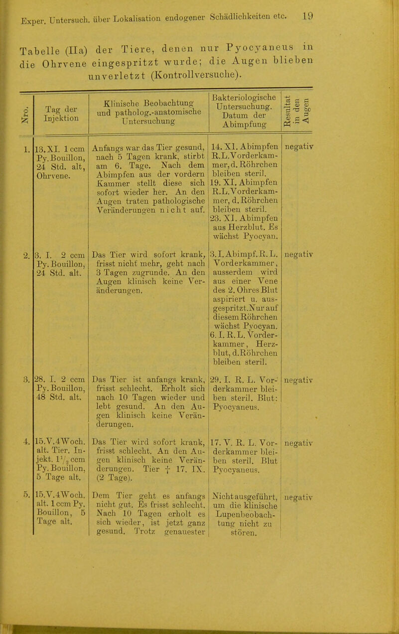 Tabelle (IIa) der Tiere, denen nur Pyocyaneus in die Ohrvene eingespritzt wurde; die Augen blieben unverletzt (Kontrollversuche). Nro. 1 Tag der Injektion Klinische Beobachtung und patholog.-anatomische Untersuchung- Bakteriologische Untersuchung. Datum der Abimpfung Resultat j in den Augen 1. 13.XI. Iccm 24 Std. alt, Ohrvene. Anfangs war das Tier gesund, nach 5 Tagen krank, stirbt am 6. Tage. Nach dem Abimpfen aus der voi'dern Kammer stellt diese sich sofort wieder her. An den Augen traten pathologische Veränderungen nicht auf. 14. XI, Abimpfen R.L.Vorderkam- mer,d. Röhi'chen bleiben steril. 19. XI. Abimpfen R.L.Vorderkam- mer, d. Röhrchen bleiben steril. 23. XI. Abimpfen aus Herzblut. Es wächst Pyocyau. negativ •2. '6. I. 2 ccm Py. Bouillon, 24 Std. alt. Das Tier wird sofort krank, frisst nicht mehr, geht nach 3 Tagen zugrunde. An den Augen klinisch keine Ver- änderungen. 3.I.Abimpf.E.L. Vorderkammer, ausserdem wird aus einer Vene des 2. Ohres Blut aspiriert u. aus- gespritzt.Nur auf diesem Röhrchen wächst Pvocyan. 6.1. R.L. Vorder- kammer , Herz- blut, d. Röhrchen bleiben steril. negativ 3. 28. I. 2 ccm Py. Bouillon, 48 Std. alt. Das Tier ist anfangs krank, frisst schlecht. Erholt sich nach 10 Tagen wieder und lebt gesund. An den Au- gen klinisch keine Verän- derungen. 29.1. R. L. Vor- derkammer blei- ben stei'il. Blut: Pyocyaneus. negativ 4. 15.V.4Woch. alt. Tier In- jekt. ccm Py. Bouillon, 5 Tage alt. Das Tier wird sofort krank, TrisiQf' QPnlrmTif Ä n rlcm Ä n iliOob oL>LlXU(^UU. xlU Ucll XilL- gen klinisch keine Verän- derungen. Tier f 17. IX. (2 Tage). 17. V. R. L. Vor- derkammer blei- ben steril, Blut Pyocyaneus. negativ ö. 15.V.4Woch. alt. 1 ccm Py. Tage alt. nicht gut. Es frisst schlecht. sich wieder, ist jetzt ganz gesund. 'JVotz genauester um die klinische tung nicht zu stören.