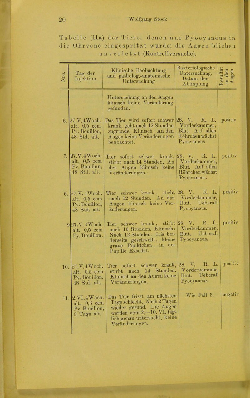 Tabelle (Ha) der Tiere, denen nur Pyocyaneus in die Ohrvene eingespritzt Avurde; die Augen blieben unverletzt (Kontrollversuche). Tag der Injektion Klinische Beobachtung und patholog.-anatomische Untersuchung Bakteriologische Untersuchung. Datum der Abimpl'ung c? a c m S 6. i. 7.V.4Woch. alt. 0,5 com Py. Bouillon, 48 Std. alt. 27.V.4Woch. alt. 0,5 ccni Py. Bouillon, 48 Std. alt. 8. 10. 11 ^i7.V.4Woch. alt. 0,5 ccm Py. Bouillon, 48 Std. alt. Untersuchung an den Augen klinisch keine Veränderung gefunden. Das Tier wird sofort schwer krank, geht nach 12 Stunden zugrunde. Klinisch: An den Augen keine Veränderungen beobachtet. Tier sofort schwer ki-ank, stirbt nach 14 Stunden. .An den Augen klinisch keine Veränderungen. 27.V. 4Woch. alt. 0,5 ccm Py. Bouillon. 27.V.4AVoch. alt. 0,5 ccm Py. Bouillon, 48 Std. alt. 2.VI.4Woch. alt, 0,3 ccm Py. Bouillon, B Tage alt. Tier schwer krank, stirbt nach 12 Stunden. An den Augen klinisch keine Ver- änderungen. Tier schwer ki-ank, stirbt nach 16 Stunden. Klinisch: Nach 12 Stunden. Iris bei- derseits geschwellt, kleine graue Pünktchen, in der Pupille Exsudat. Tier sofort schwer krank, stirbt nach 14 Stunden. Klinisch an den Augen keine Veränderungen. Das Tier frisst am nächsten Tage schlecht. Nach 2 Tagen wieder gesund. Die Augen werden vom 2.—10. VI. täg- lich genau untersucht, keine Veränderungen, 28. V. R. L. Vorderkammer, Blut. Auf allen Röhrchen wächst Pyocyaneus. 28. V. R. L. Vorderkammer, Blut. Auf allen Röhrchen wächst Pyocyaneus. 28. V. R. L. Vorderkammer, Blut. Ueberau Pyocyaneus. 28, V. R. L. Vorderkammer, Blut. Ueberau Pyocyaneus. Ijositiv 28. V. R. L. Vorderkammer, Blut. Ueberau Pyocyaneus. positiv positiv positiv positiv