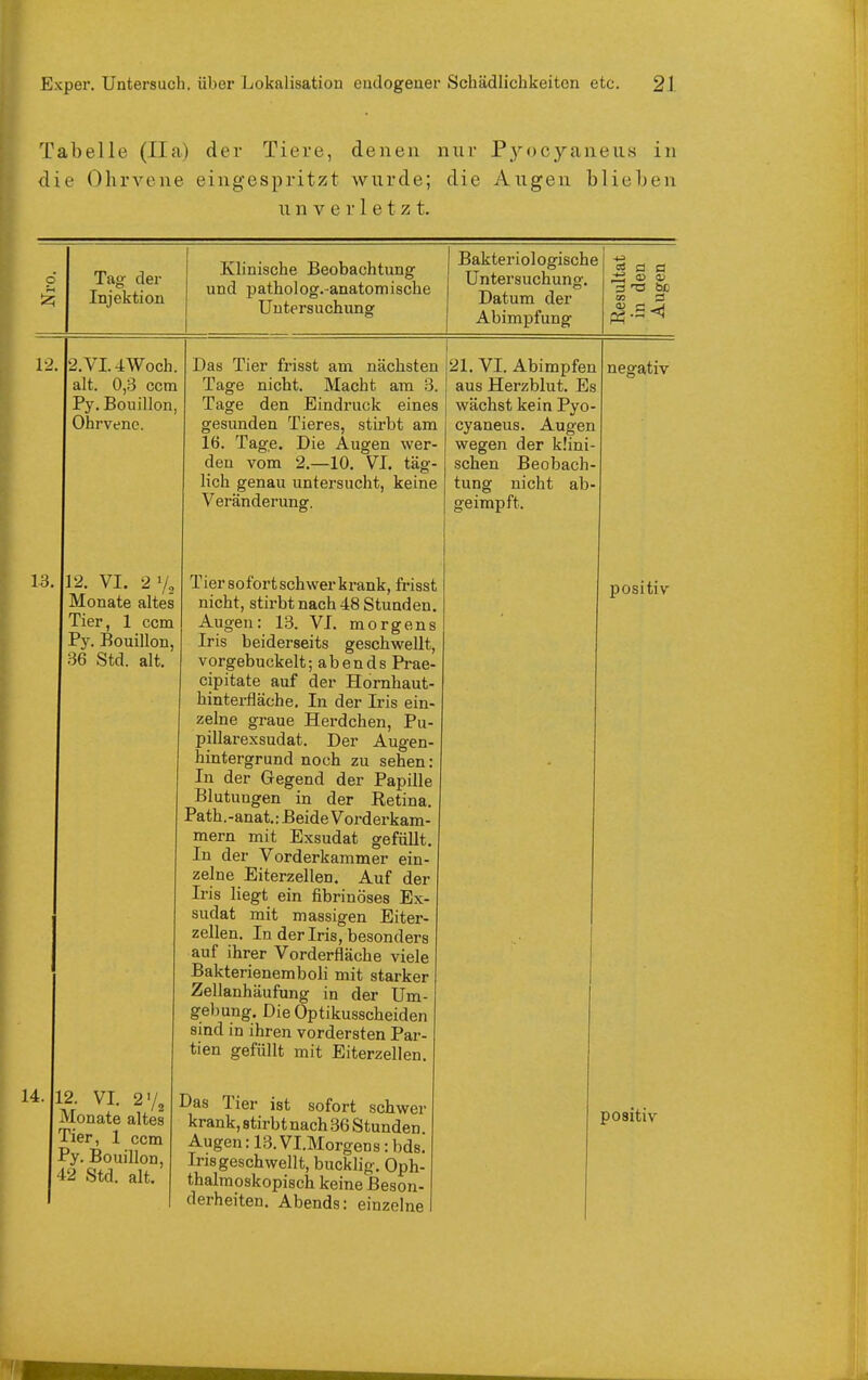 Tabelle (IIa) der Tiere, denen nur Pyocyaneii.s in die Ohrvene eingespritzt wurde; die Augen blieben unverletzt. p Tag der Injektion Klinische Beobachtung und patholog.-anatomische Untersuchung Bakteriologische Untersuchung. Datum der Abimpfung CO Ö 12 13 2.VI.4Woch. alt. 0,3 ccm Py. Bouillon, Ohrvene. 12. VI. -2 7, Monate altes Tier, 1 ccm Py. Bouillon, 36 Std. alt. 14. 12. VI. 2V2 Tier, 1 ccm Py. Bouillon, 42 Std. alt. Das Tier frisst am nächsten Tage nicht. Macht am 3. Tage den Eindruck eines gesunden Tieres, stirbt am 16. Tage. Die Augen wer- den vom 2.—10. VI. täg- lich genau untersucht, keine Veränderung. Tier sofort schwer krank, frisst nicht, stirbt nach 48 Stunden. Augen: 13. VI. morgens Iris beiderseits geschwellt, vorgebuckelt; abends Pi-ae- cipitate auf der Hornhaut- hinterfläche. In der Iris ein- zelne graue Herdchen, Pu- pillarexsudat. Der Augen- hintergrund noch zu sehen: In der Gegend der Papille Blutungen in der Retina. Path. -anat.: Beide Vorderkam- mern mit Exsudat gefüllt. In der Vorderkammer ein- zelne Eiterzellen. Auf der Iris liegt ein fibrinöses Ex- sudat mit massigen Eiter- zellen. In der Iris, besonders auf ihrer Vorderfläche viele Bakterienemboli mit starker Zellanhäufung in der Um- gebung. Die Optikusscheiden sind in ihren vordersten Par- tien gefüllt mit Eiterzellen. Das Tier ist sofort schwer krank, stirbt nach 36 Stunden. Augen: 13. VI.Morgens: bds. Iris geschwellt, bucklig. Oph- thalmoskopisch keine Beson- derheiten. Abends: einzelne 21. VI. Abimpfen aus Herzblut. Es wächst kein Pyo- cyaneus. Augen wegen der kÜni sehen Beobach- tung nicht ab- geimpft. negativ positiv
