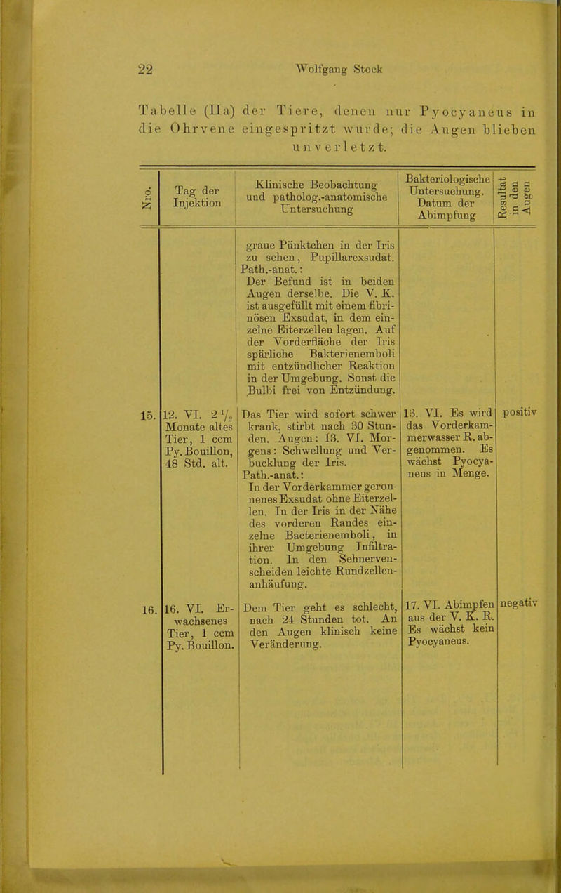 Tabelle (IIa) der Tiere, denen nur Pyocyaneus in die Ohrvene eingespritzt wurde; die Augen blieben u n V e riet z t. p Tag der Injektion Klinische Beobachtung und patholog.-anatomische Untersuchung Bakteriologische Untersuchung. Datum der Abimpfung cö Q 3 bti CO p 15. 16 12. VI. 2 V„ Monate altes Tier, 1 ccm Py. BouiUon, 48 Std, alt. 16. VI. Er- wachsenes Tier, 1 ccm Py. Bouillon. graue Pünktchen in der Iris zu sehen, Pupillarexsudat. Path.-anat.: Der Befund ist in beiden Augen dersell)e. Die V. K. ist ausgefüllt mit einem fibri- nösen Exsudat, in dem ein- zelne Eiterzellen lagen. Auf der Vorderfläche der Iris spärliche Bakterienemboli mit entzündlicher Reaktion in der Umgebung. Sonst die Bulbi frei von Entzündung. Das Tier wird sofort schwer krank, stirbt nach 30 Stun- den. Augen: 13. VI. Mor- gens : Schwellung und Ver- bucklung der Iris. Path.-anat.: In der Vorderkammer geron- nenes Exsudat ohne Eiterzel- len. In der L-is in der Nähe des vorderen Randes ein- zelne Bacterienemboli, in ihrer Umgebung Infiltra- tion. In den Sehuerven- scheiden leichte Rundzellen- anhäufuug. Dem Tier geht es schlecht, nach 24 Stunden tot. An den Augen klinisch keine 13. VI. Es wird das Vorderkam- merwasser R. ab- genommen. Es wächst Pyocya- neus in Menge. positiv aus der V. K. R. Es wächst kein