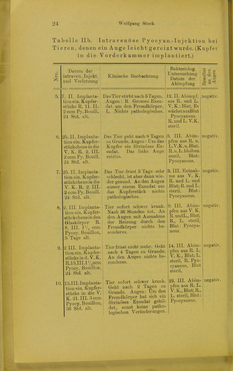 Tabelle IIb. Intravenöse Pyocyan.-Injektion bei Tieren, denen ein Auge leicht gereizt wurde. (Kupfer in die Vo r der kämme r implantiert.) Datum der intraveu. Iiijekt. und Verletzung Klinische Beobachtung Bakteriolog. ^ Untersuchung ^ ^ Datum der g ^ Abimpfung bL 10 7. II. Implanta- tion ein. Kupfer- stücks R. 11. II. 2 ccm Py.Eouill. 24 Std. alt. 25. II. Implanta- tion ein. Kupfer- stückchens in die V. K. R. 2. III. 2 ccm Py. Bouill. 24 Std. alt. 25. II. Implanta- tion ein. Kupfer- stückchens in die V. K. R. 2. III. 2 ccm Py. Bouill. 24 Std. alt. 2. III. Implanta- tion ein. Kupfer- stückchens in den Glaskörper R. 8. III. IV.. ccm Pyocy. Bouillon, 5 Tage alt. 2 III. Implanta- tion ein. Kupfer- stücks in d. V.K. R.13.III.lVoCcm Pyocy. Bouillon, 24 Std. alt. 13.III. Implanta- tion ein. Kupfer- stücks in die V. K. 21. III. 'd ccm Pyocy. Bouillon, m Std. alt. Das Tier stirbt nach 5Tageu. Augen : R. Grosses Exsu- dat um den Fremdkörper. L. Nichts pathologisches. Das Tier geht nach 8 Tagen zu Grunde. Augen: Um das Kupfer ein fibrinöses Ex- sudat. Das linke Auge reizlos. Das Tier frisst 3 Tage sehr schlecht, ist aber dann wie- der gesund. An den Augen ausser einem Exsudat um das Kupferstück nichts pathologisches. Tier sofort schwer krank. Nach 36 Stunden tot. An den Augen mit Ausnahme der Reizung durch den Fremdkörper nichts be- sonderes. Tier frisst nicht mehr. Geht nach 4 Tagen zu Grunde. An den Augen nichts be- sonderes. Tier sofort schwer krank. Geht nach 2 Tagen zu Grunde. Augen: Um den Fremdkörper hat sich ein fibrinöses Exsudat gebil- det, sonst keine patho- logischen Veränderungen. 12. II. Abimpf, aus R. und L. V.K.:Blut.Es wächst ausBlut Pyocyaneus. R. und L. V.K. steril. 3. III. Abim- pfeu aus R. u. L.V.K.u.Blut. R.u.L. bleiben steril. Blut: Pyocyaneus. B. III. Entnah- me aus V. K. R. und L. und Blut; R. und L. steril. Blut: Pyocyaneus. 9. III. Abim- pfen aus V. K. R.undL., Blut; R., L. steril, Blut: Pyocya- neus. 14. III. Abira- pfen aus R. L. V. K., Blut; L. steril, R. Pyo- cyaneus, Blut steril. 22. III. Abim- ] negativ, pfen aus R. L. i V.K.,Blut; R., L. steril, Blut: j Pyocyaneus.